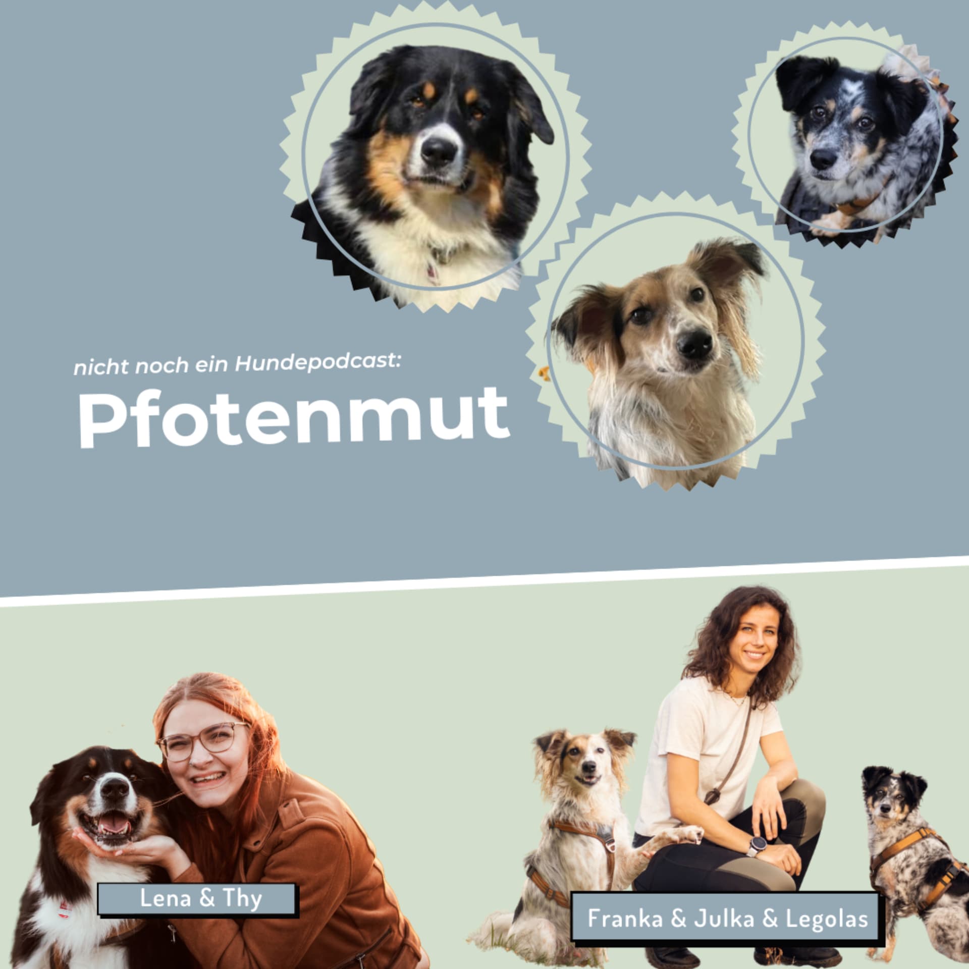 Pfotenmut - Nicht noch ein Hundepodcast - Podcasts