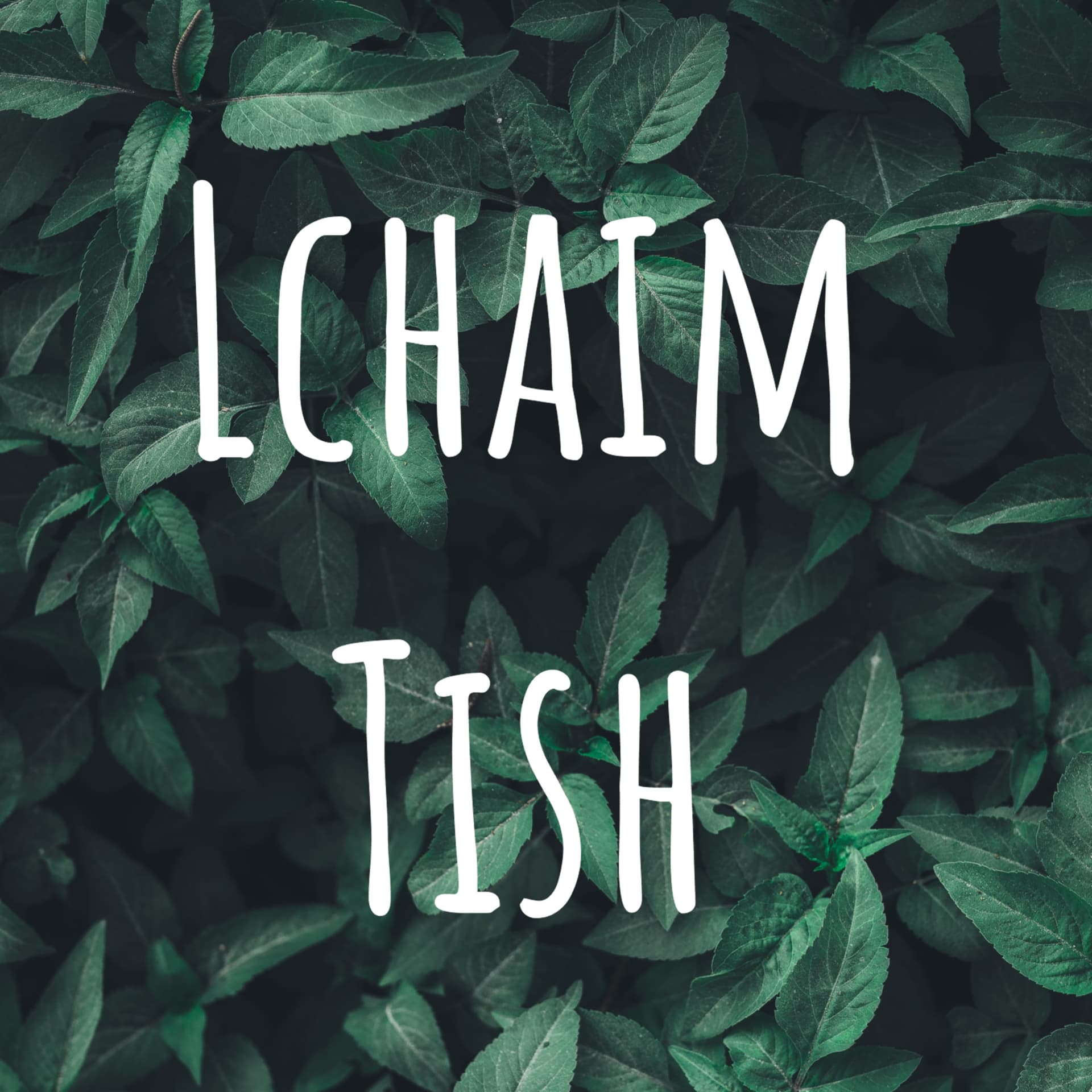 Lchaim Tish