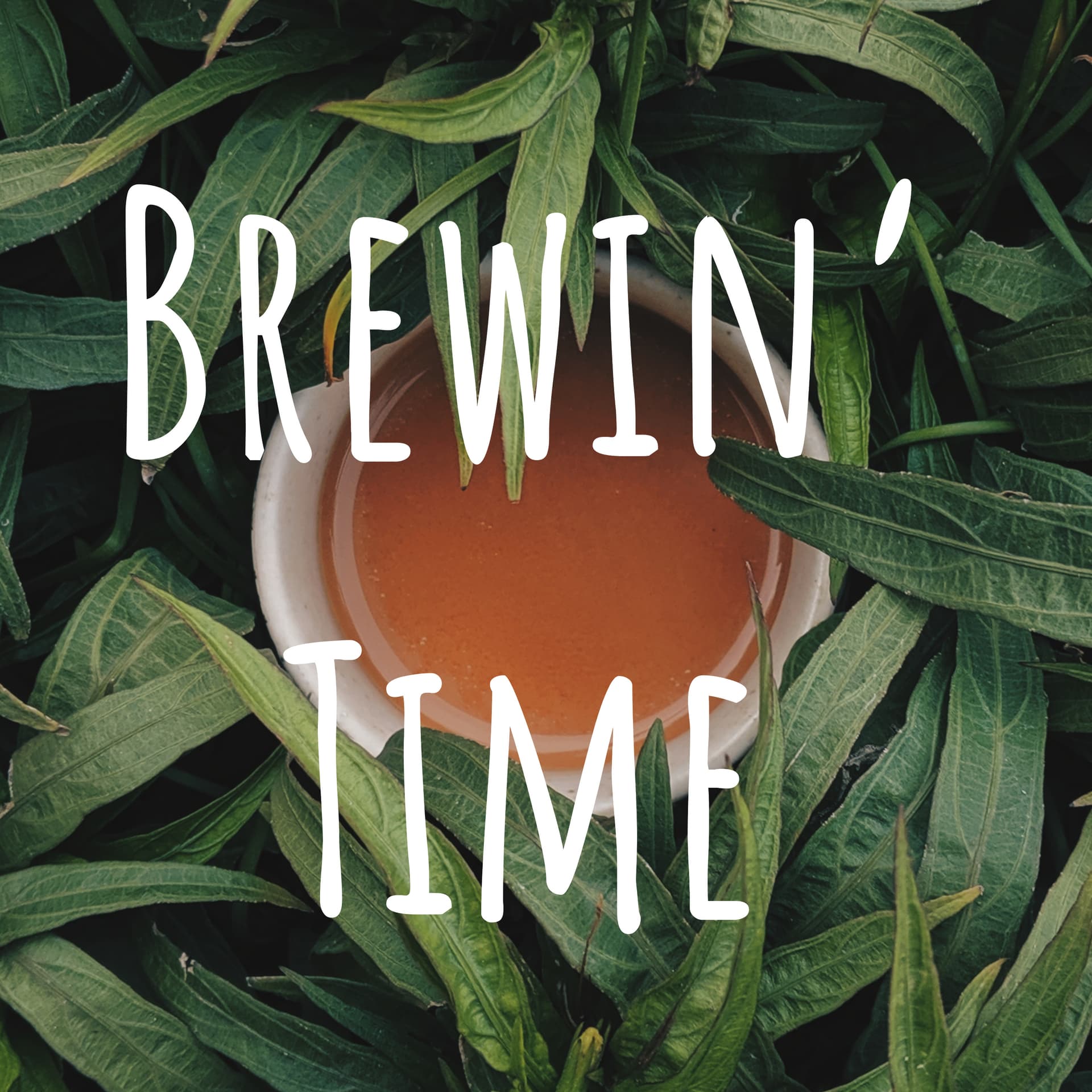 Brewin' Time
