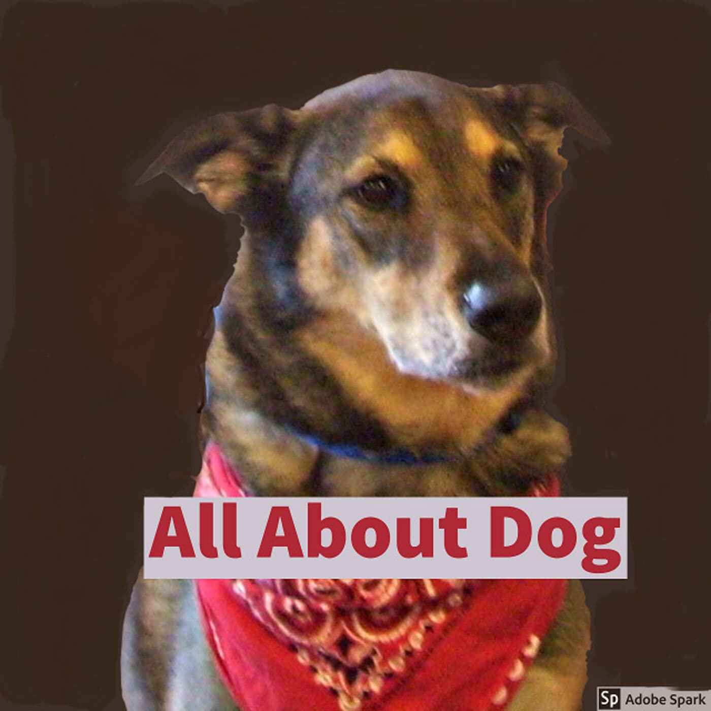 All About Dog - Podcasts