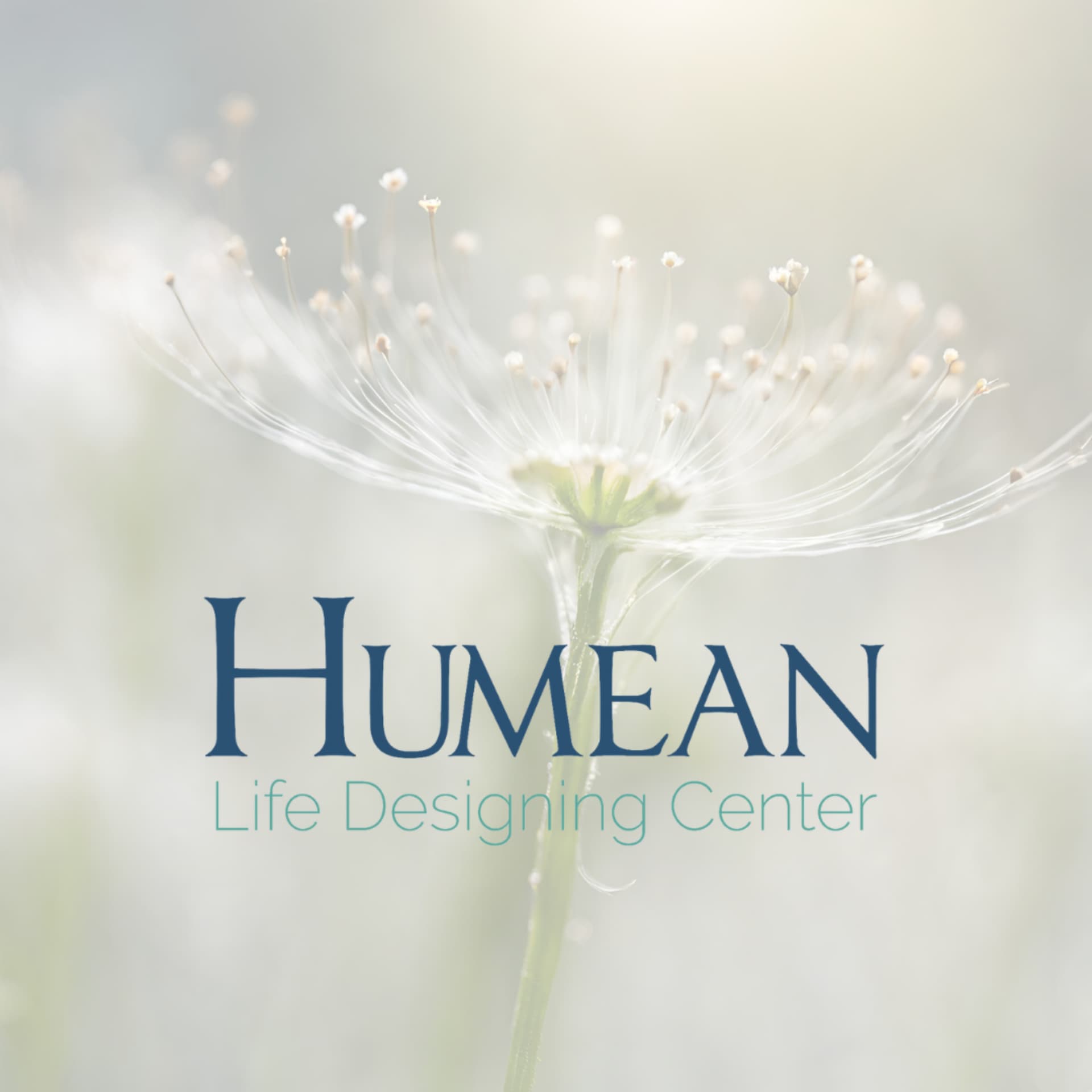 Life designing — Humean - Podcasts