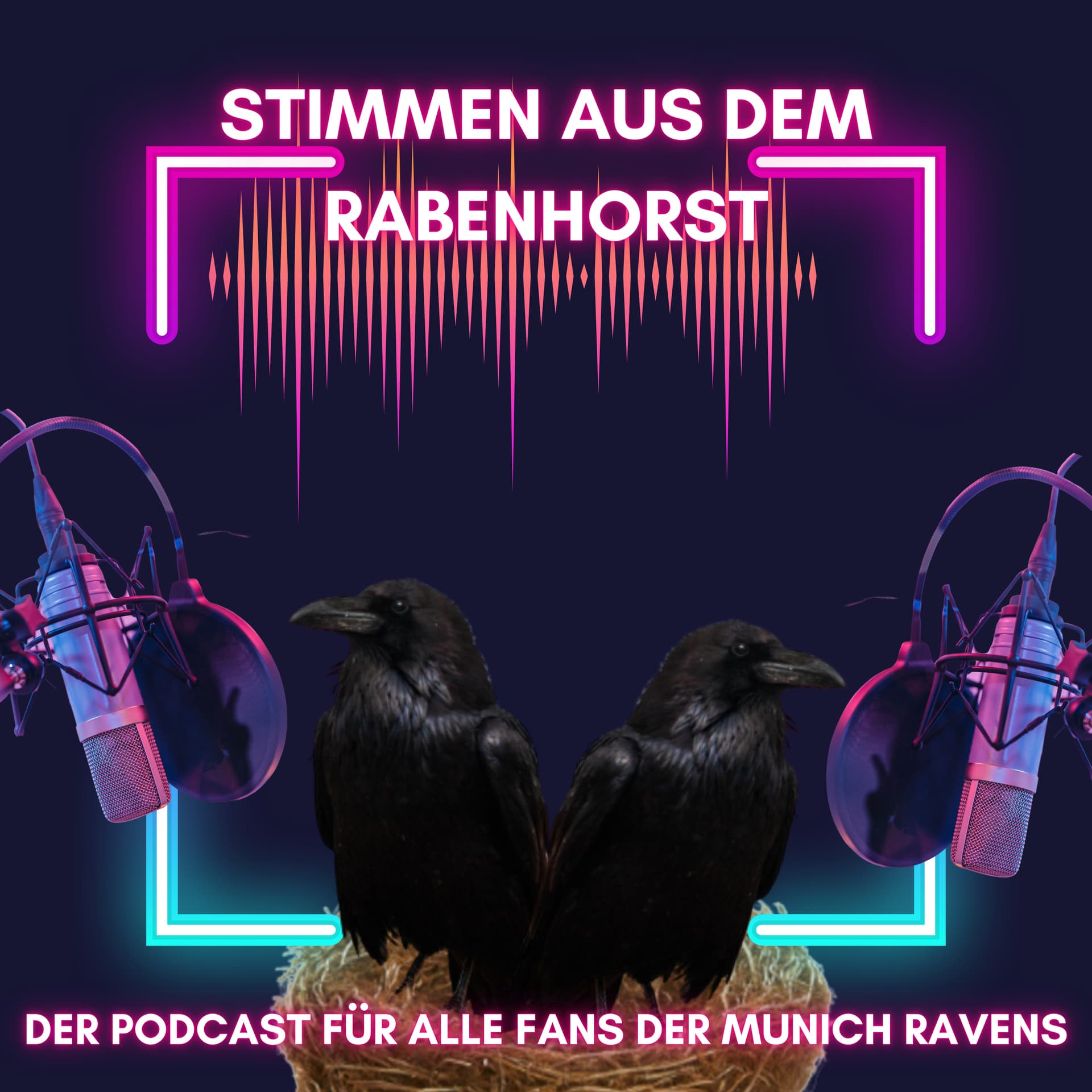Stimmen aus dem Rabenhorst - der Podcast für alle Fans der Munich Ravens - Podcasts