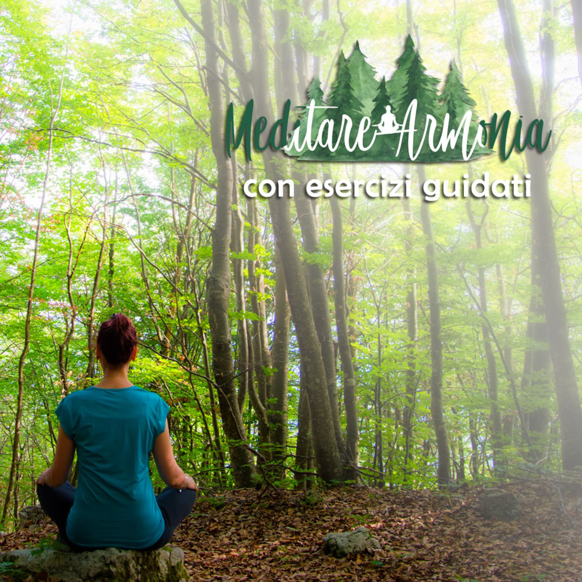 MeditareArmonia - Podcasts