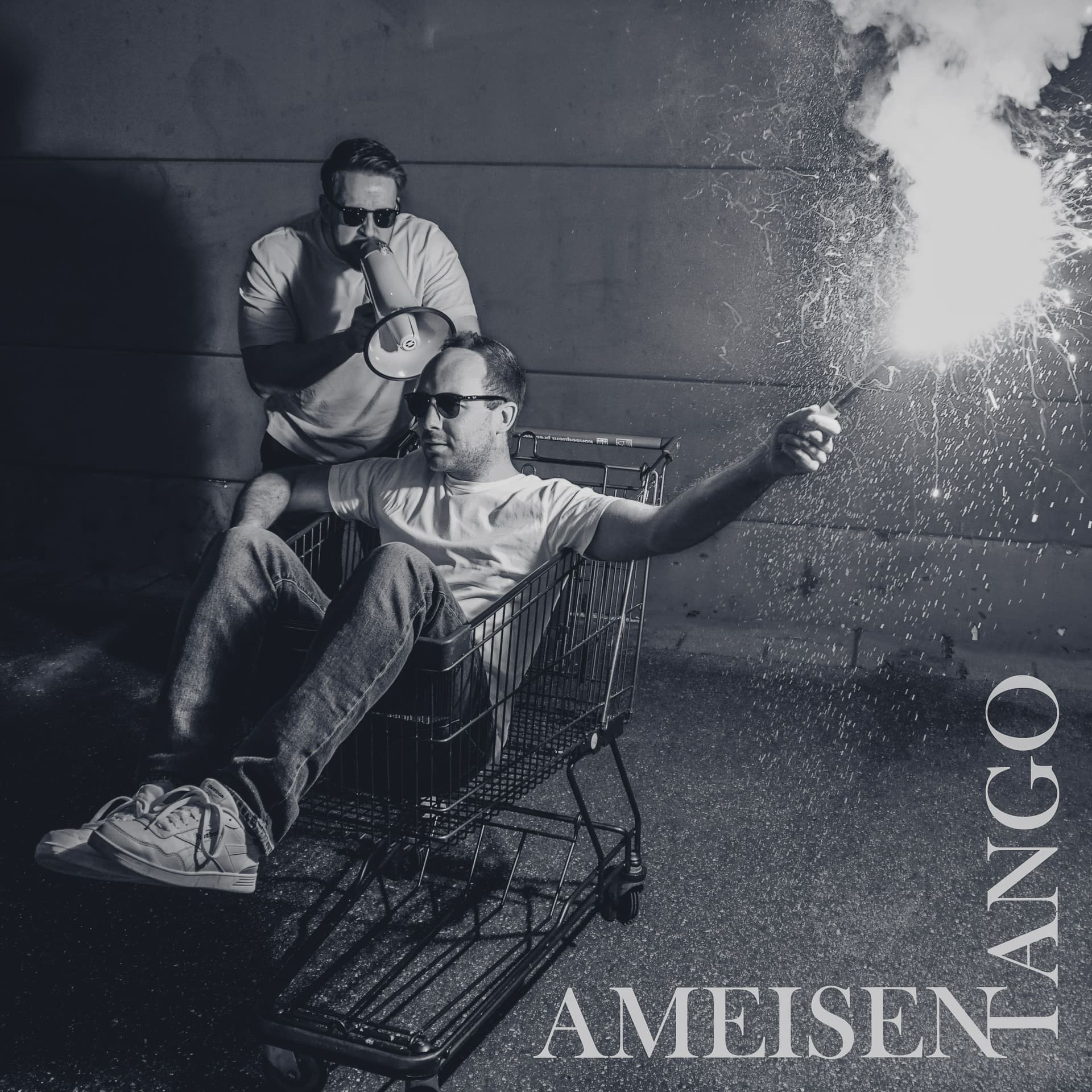 Ameisentango - Podcasts