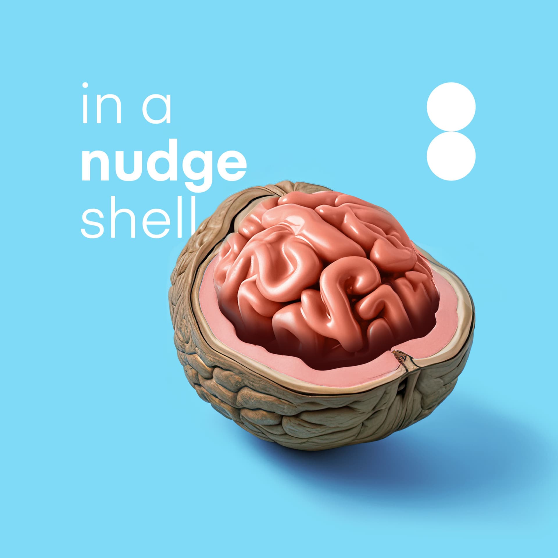 In a Nudgeshell - Podcasts