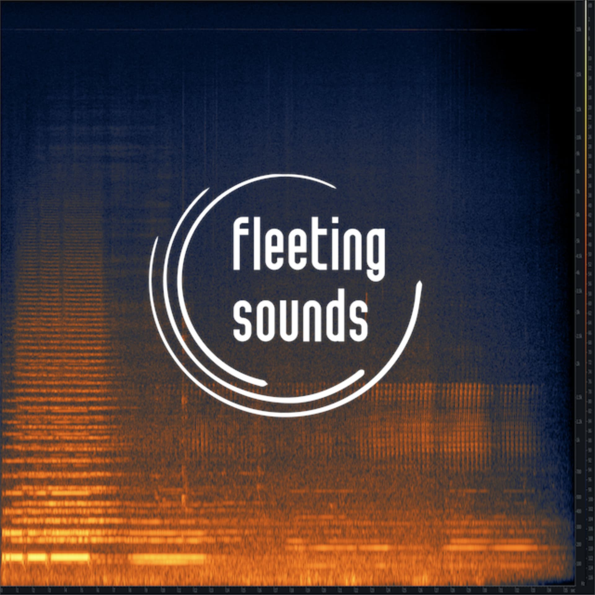 fleeting sounds - Podcasts