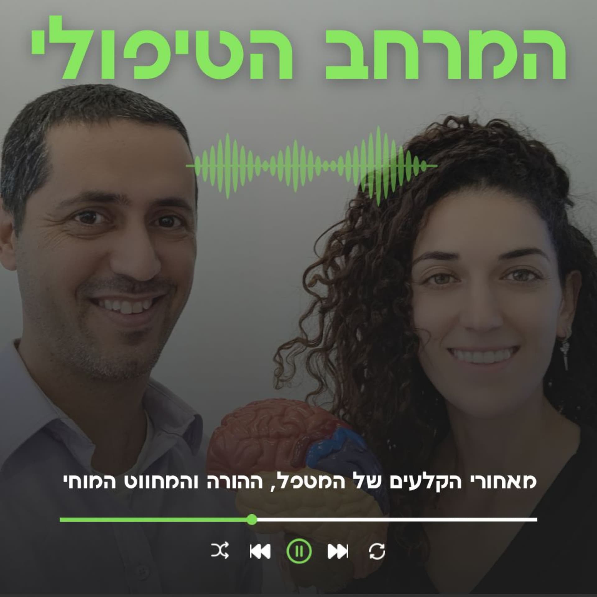 המרחב הטיפולי - Podcasts