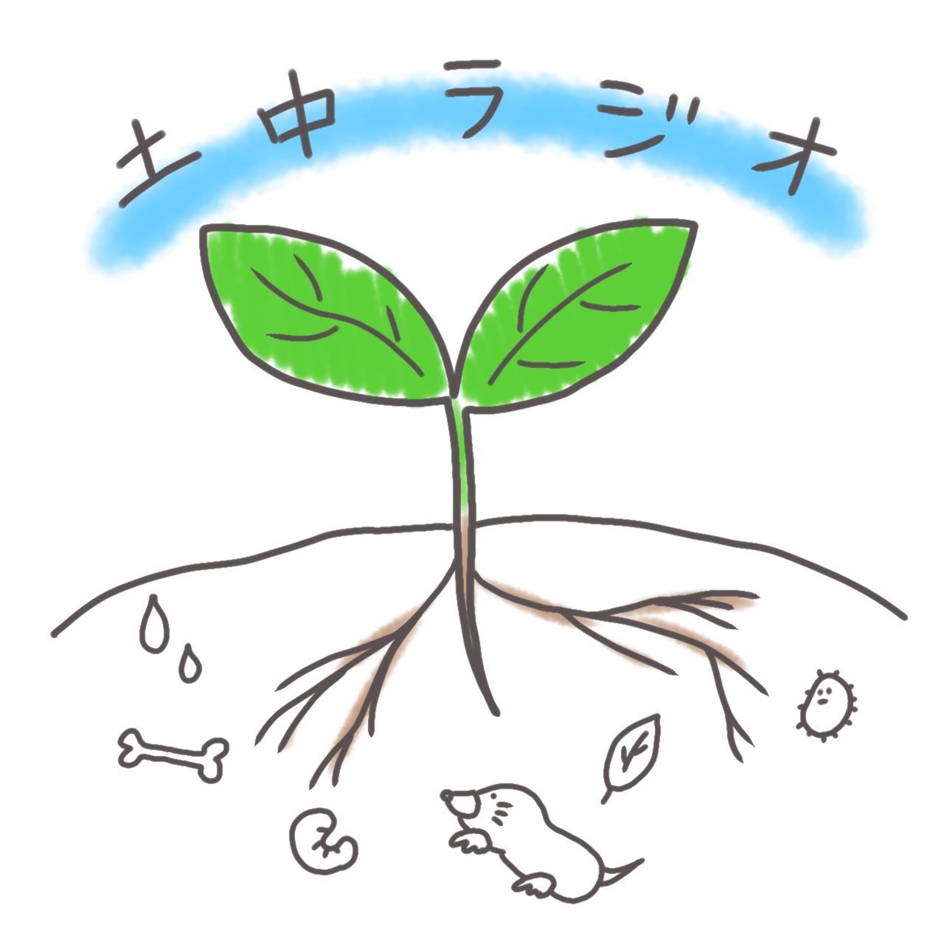 土中ラジオ - Podcasts