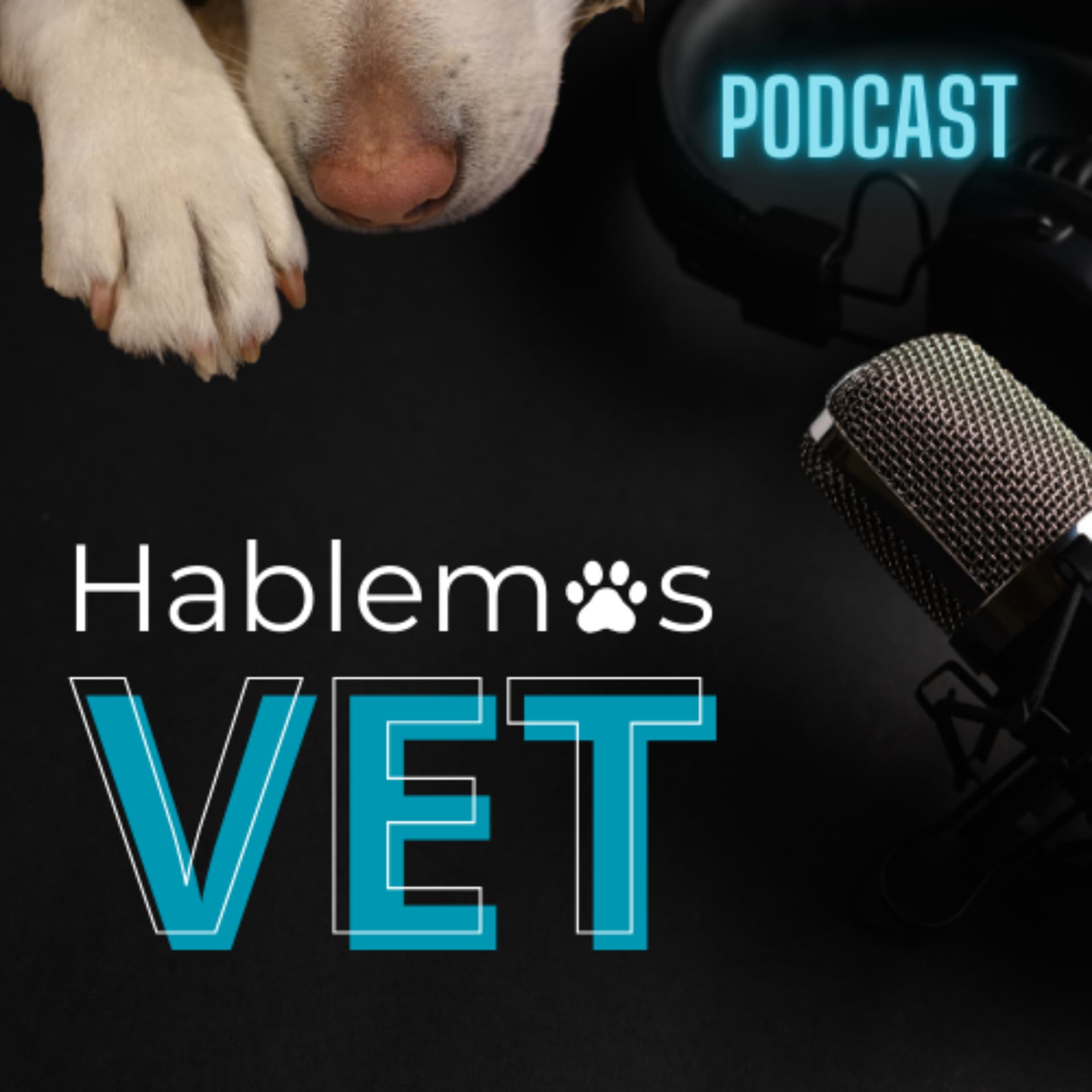 Hablemos VET