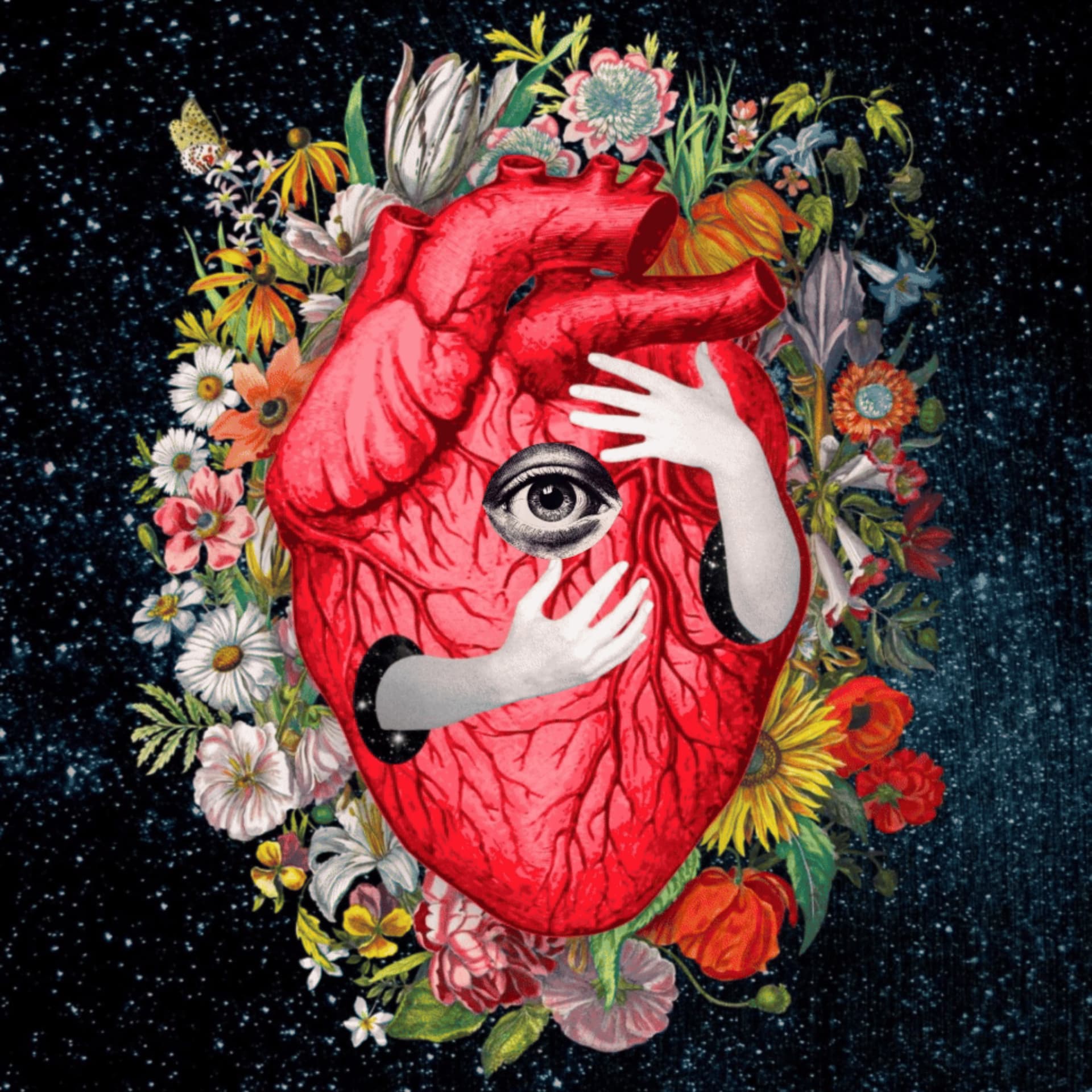 Eco-Mitologia - Podcasts