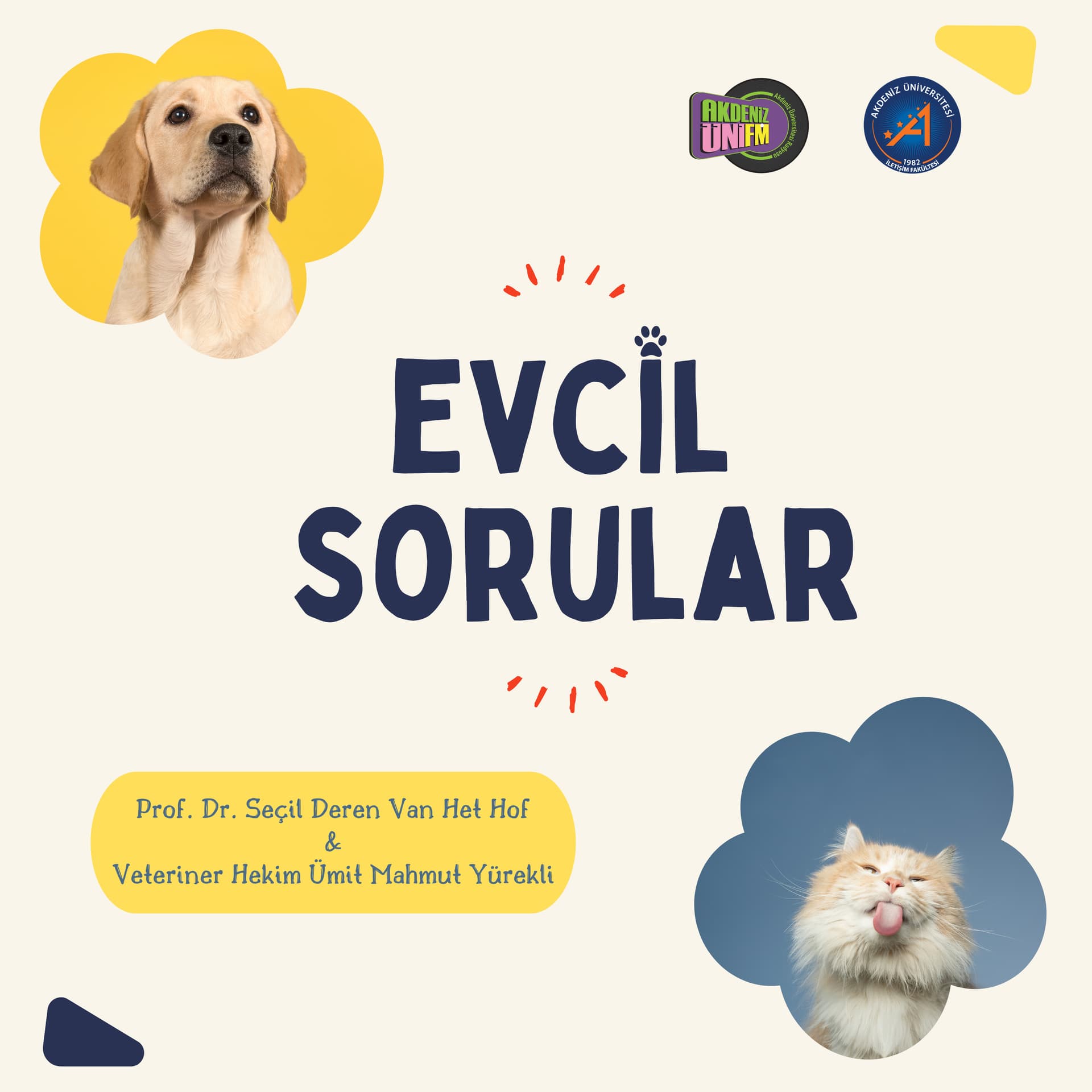 Evcil Sorular