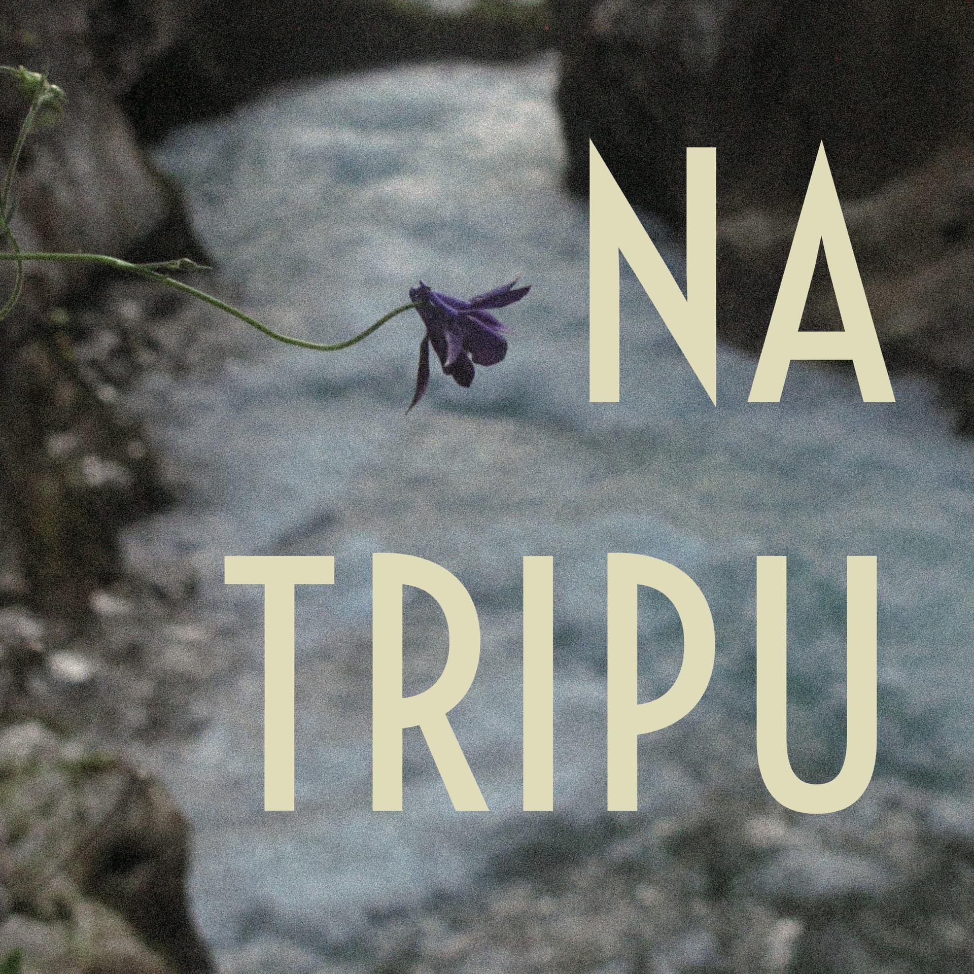 NA TRIPU - Podcasts