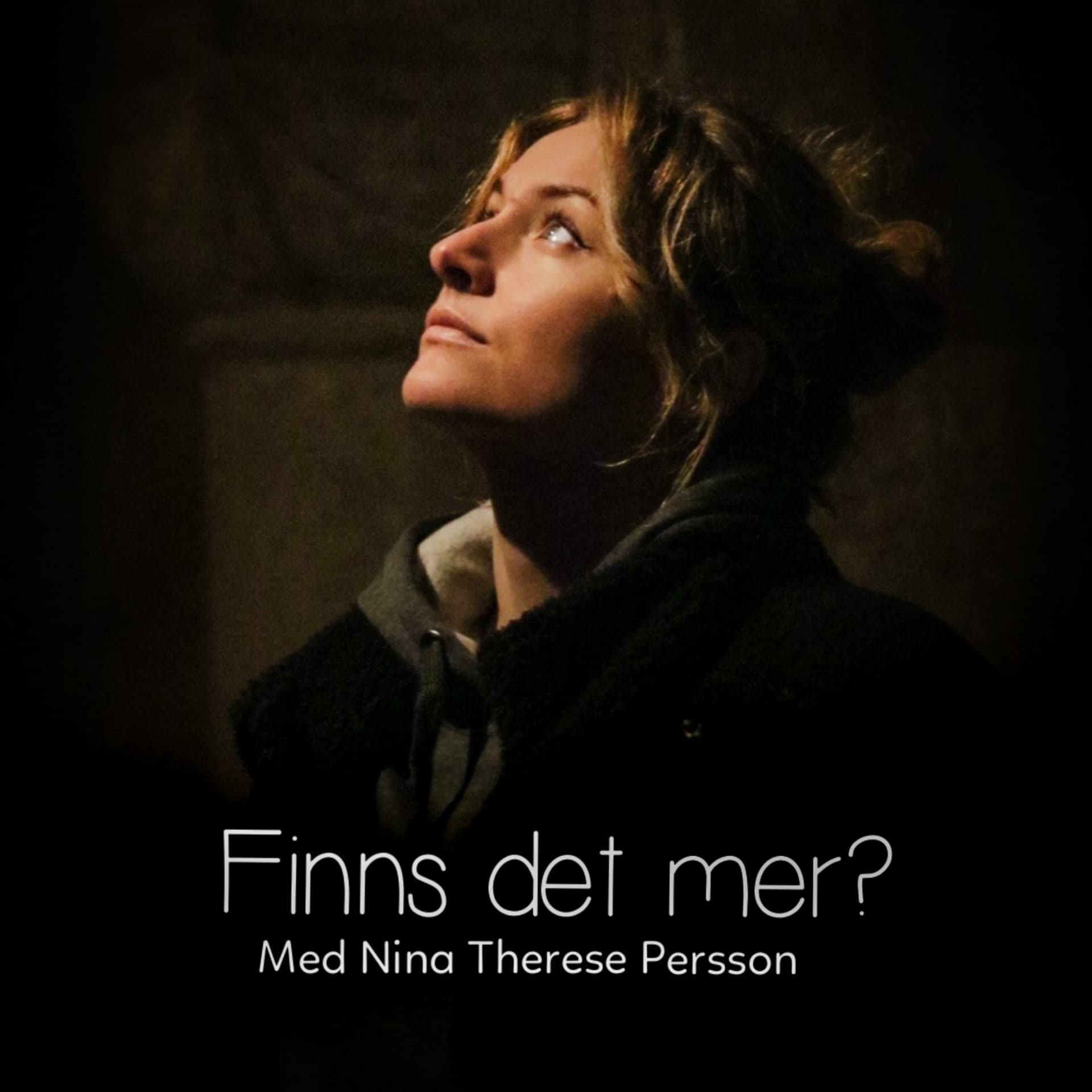 Finns det mer? - Podcasts