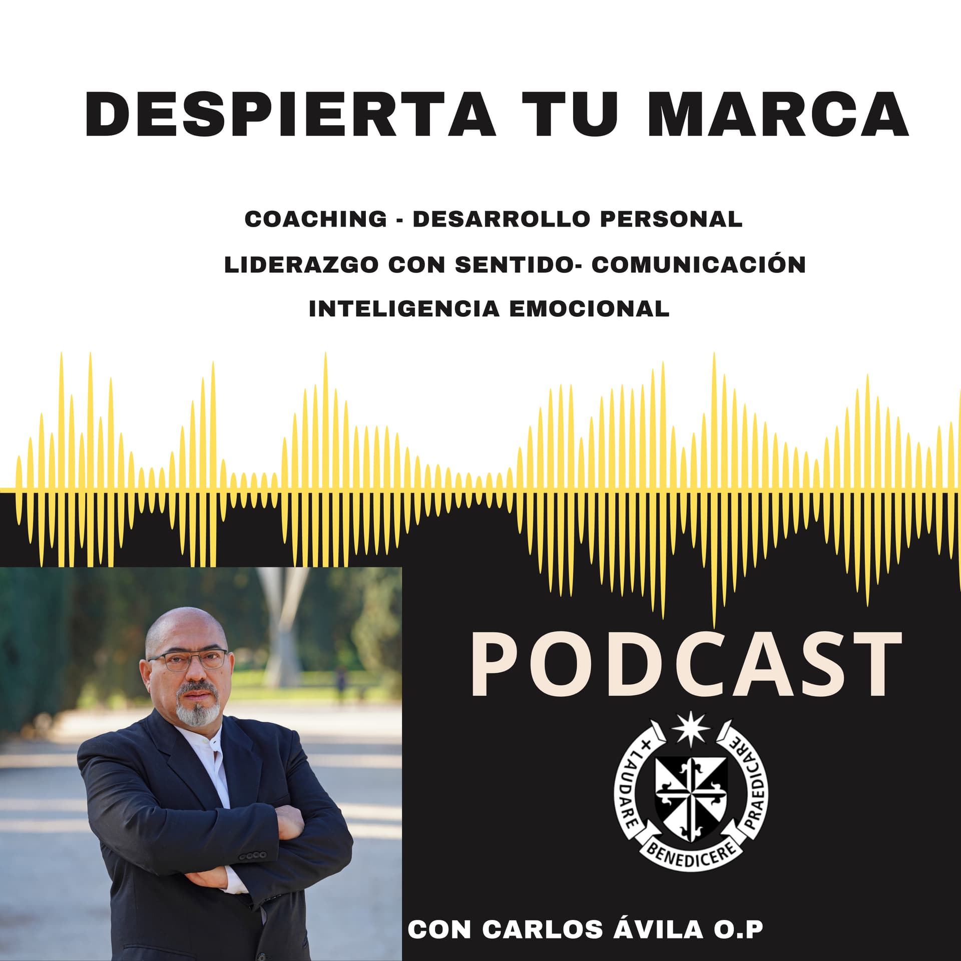Despierta tu Marca: Coaching, Desarrollo Personal, Liderazgo, Comunicación, Inteligencia Emocional. - Podcasts