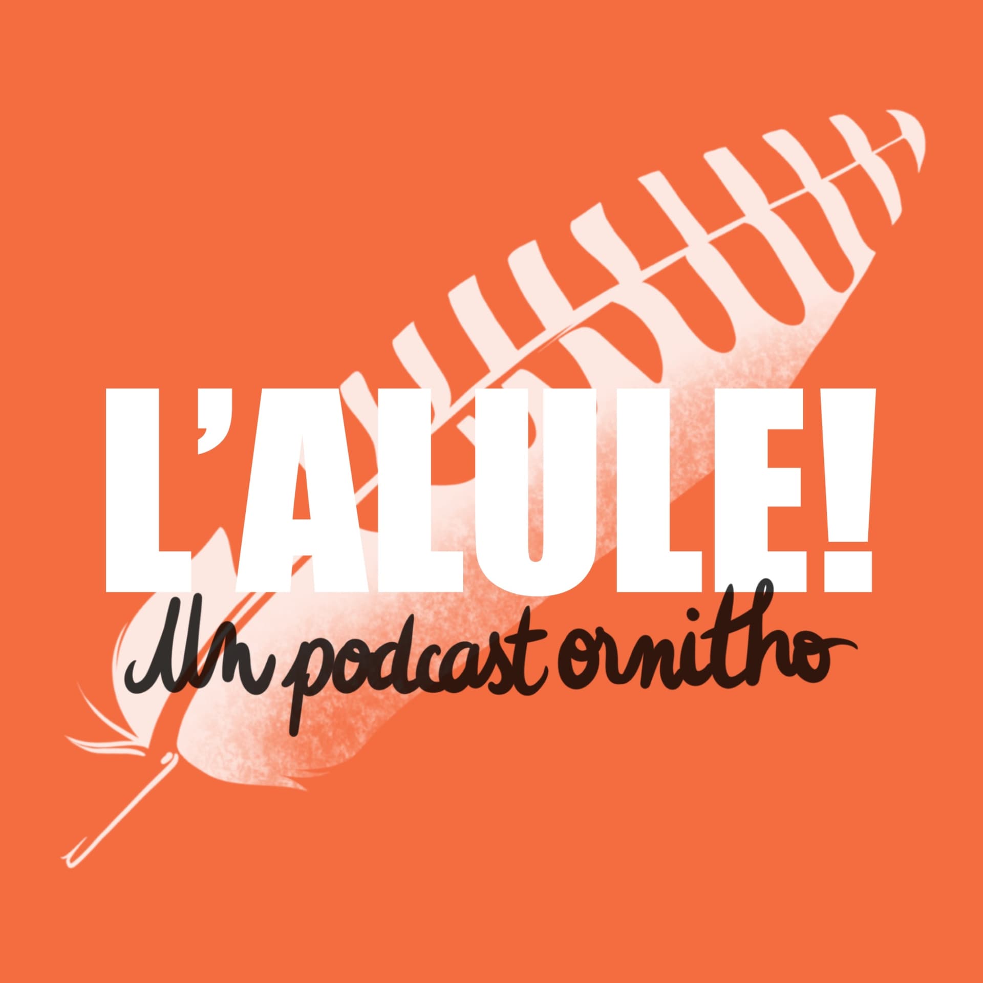 L'Alule ! Un podcast ornitho🪶 - Podcasts