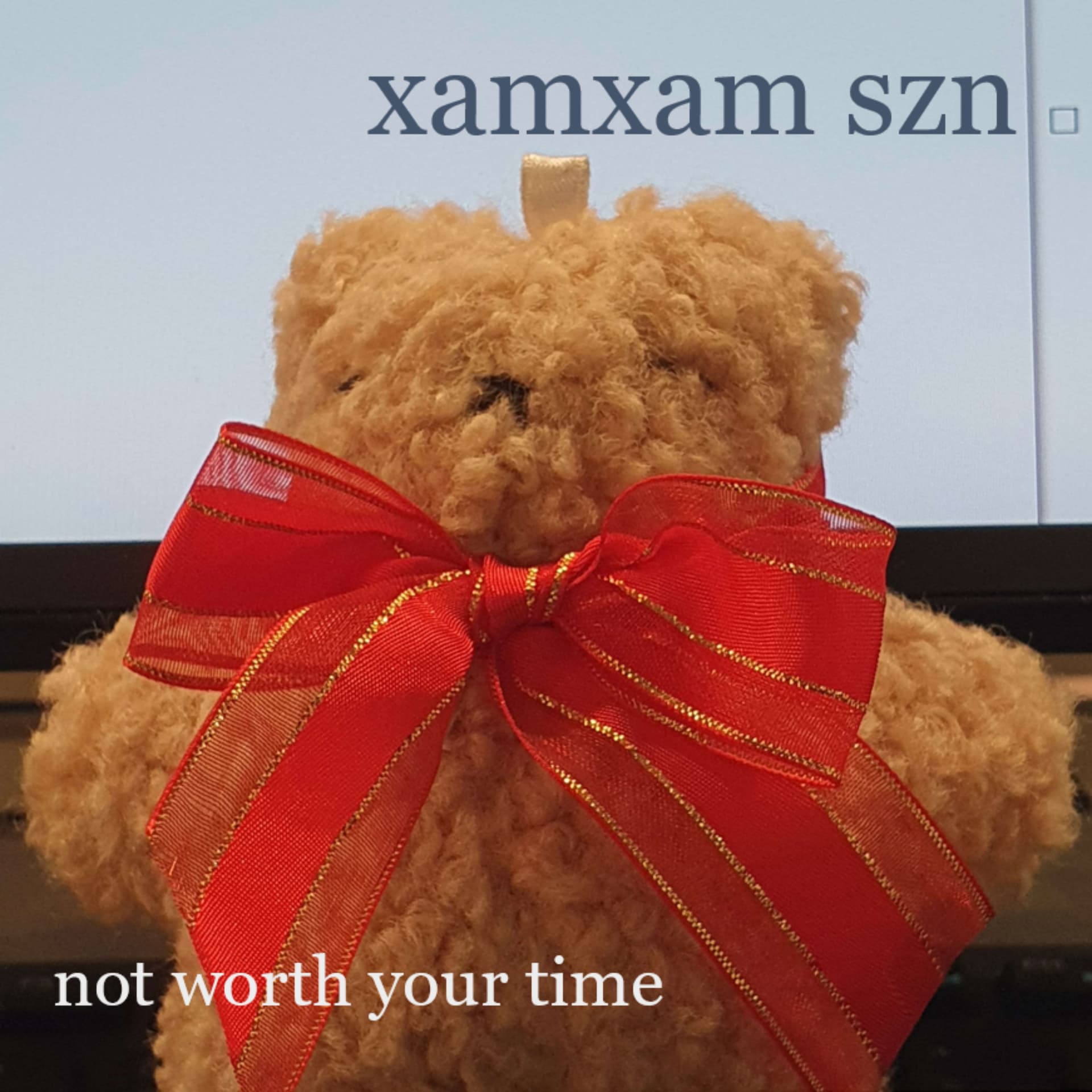 xamxam szn
