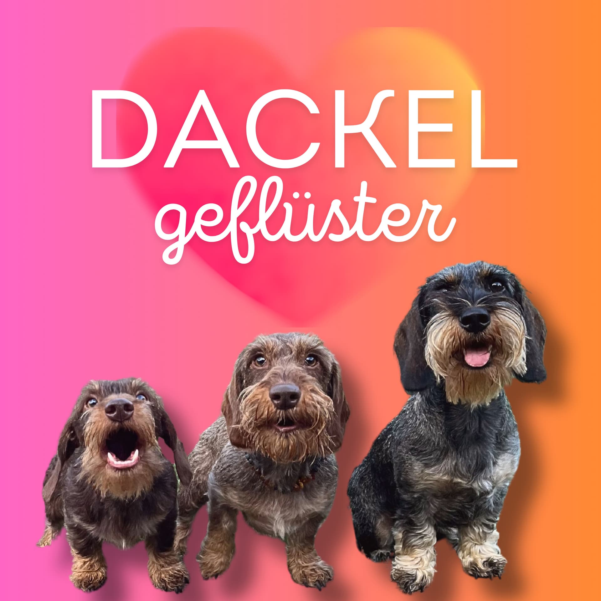 Dackelgeflüster - Podcasts