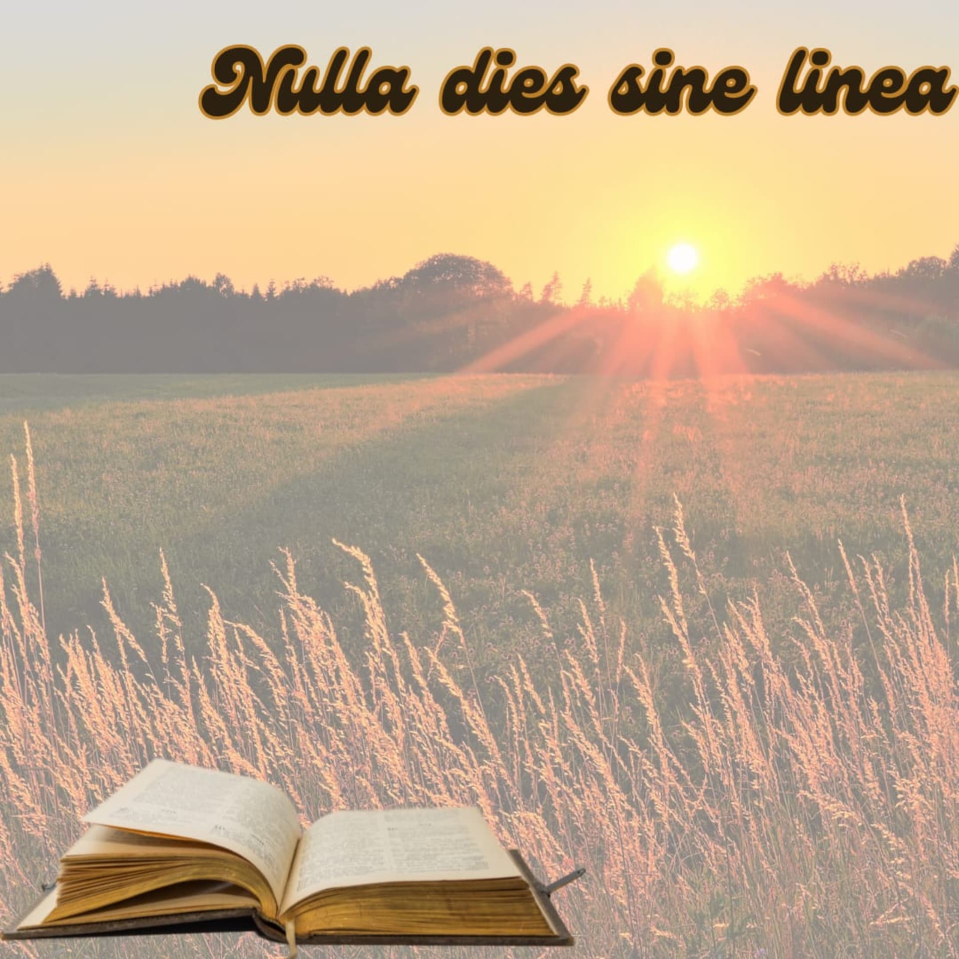 Nulla dies sine linea - Podcasts