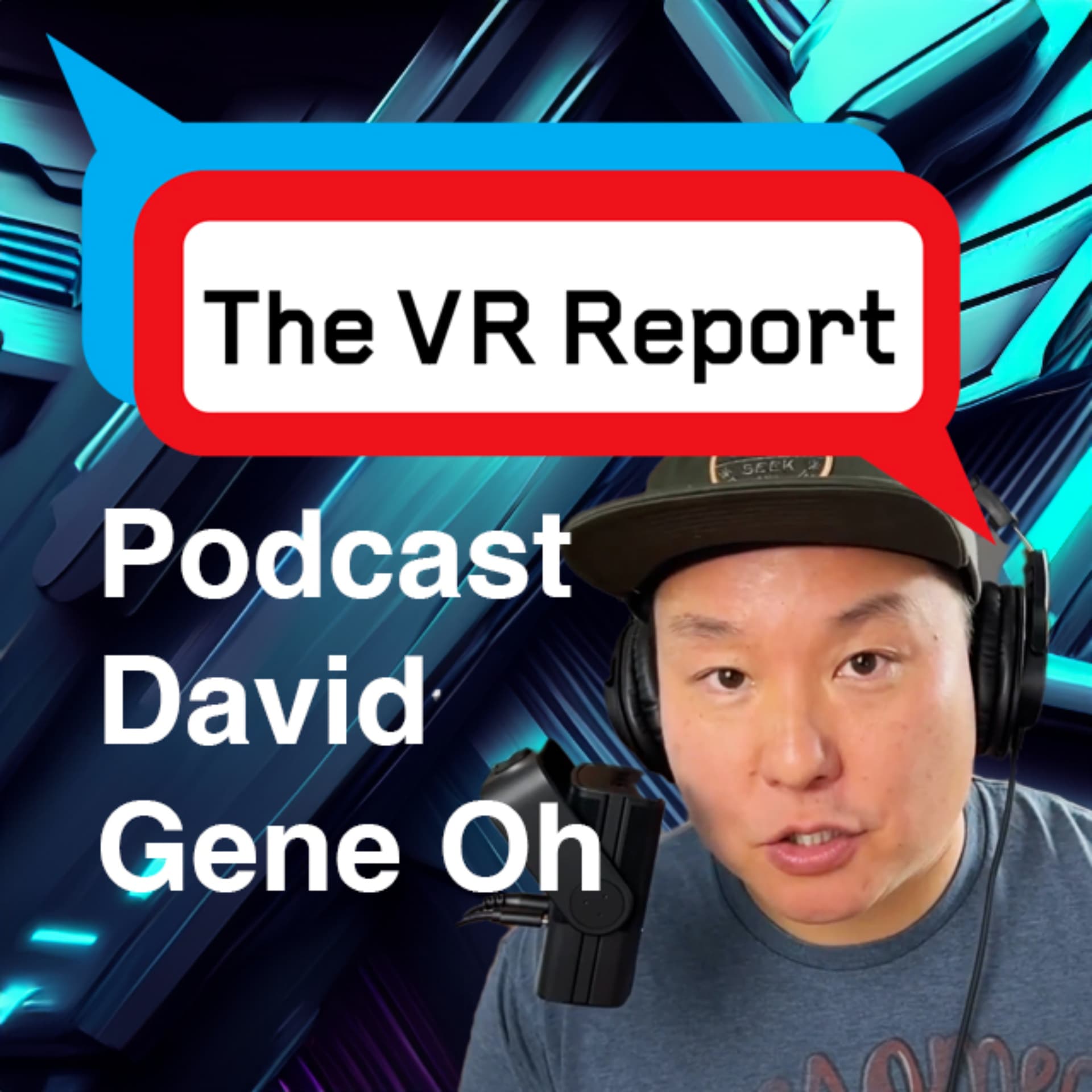The VR Report - Podcasts