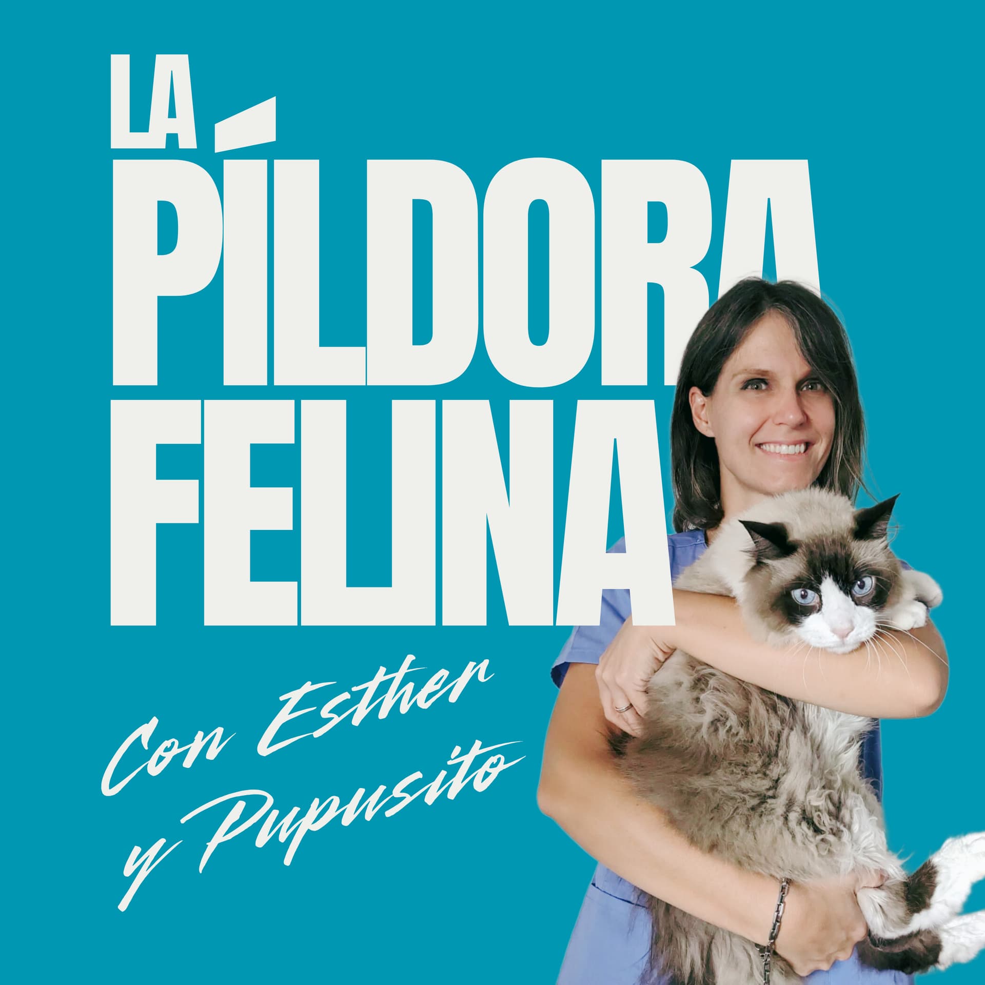 La Píldora Felina – Entiende y cuida mejor a tu gato - Podcasts