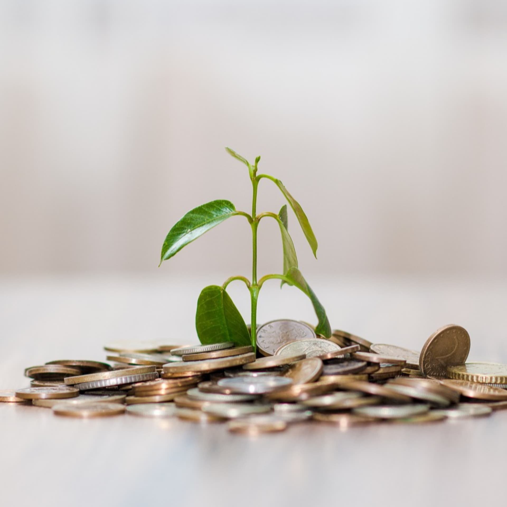 le mindset du millionnaire - Podcasts