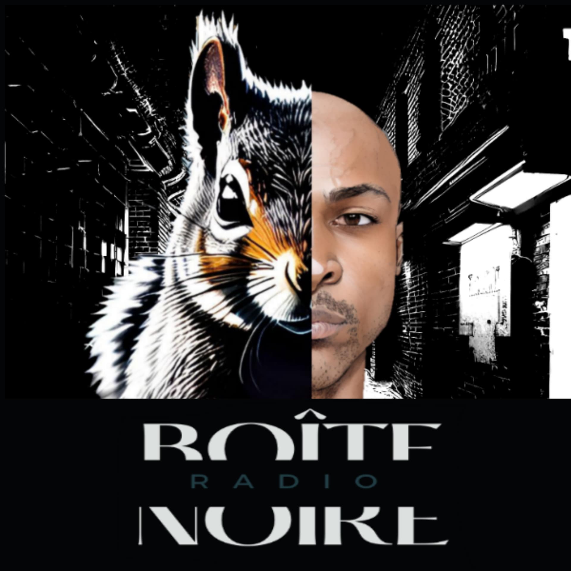 Boîte Noire Radio - Podcasts