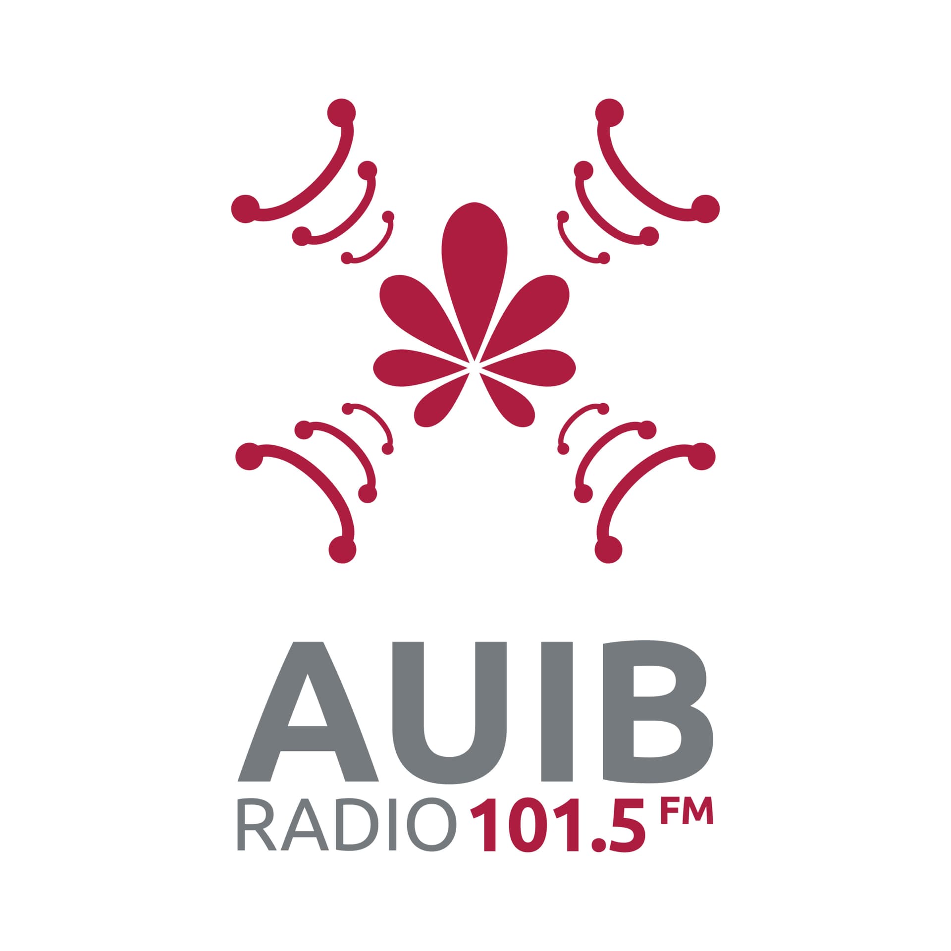 AUIB IN ARABIC , LIVE UP - Podcasts