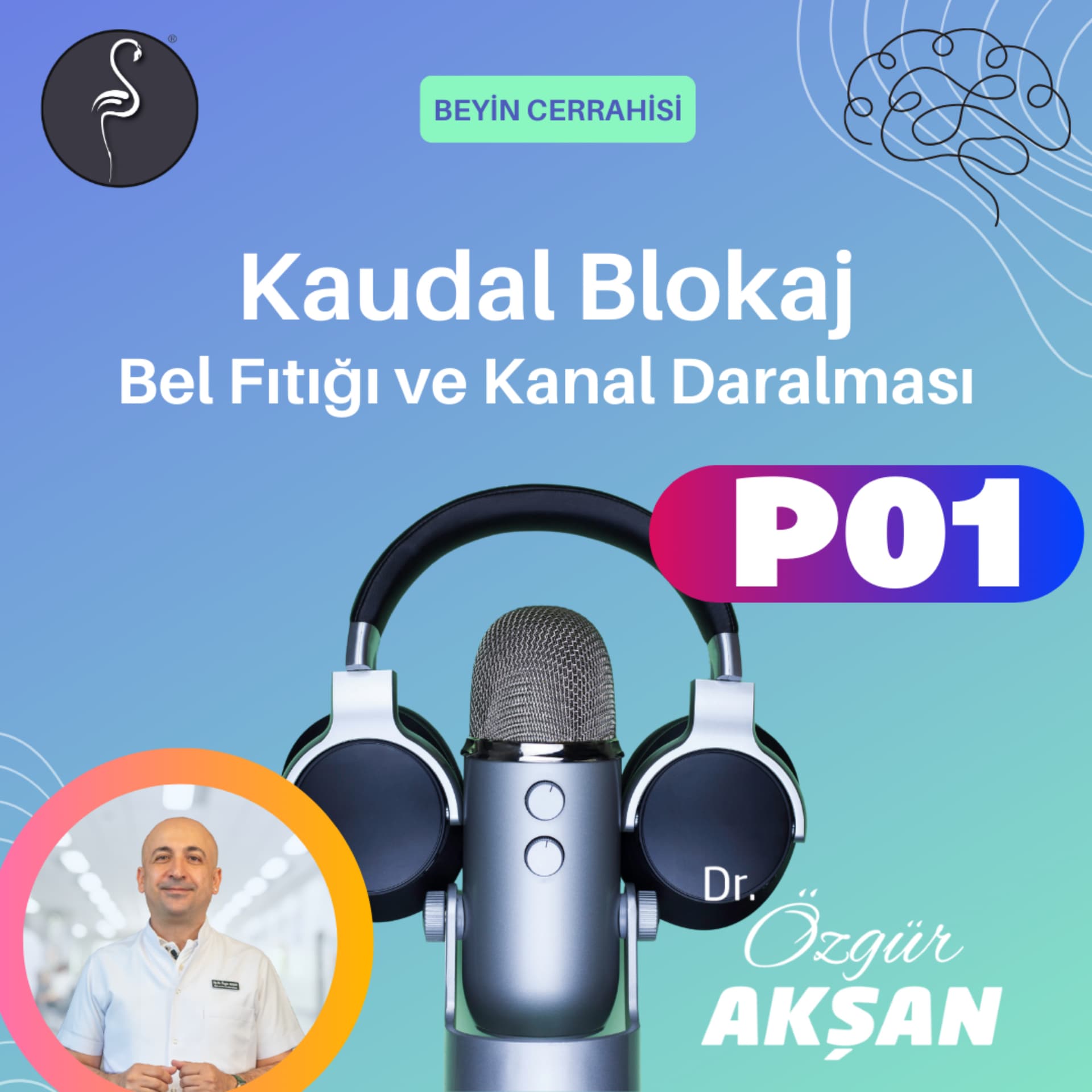 Kaudal Blokaj Nedir ? - Ağrı Tedavisi - Dr Özgür Akşan - İzmir (Bel Fıtığı - Kanal Daralması) - Podcasts