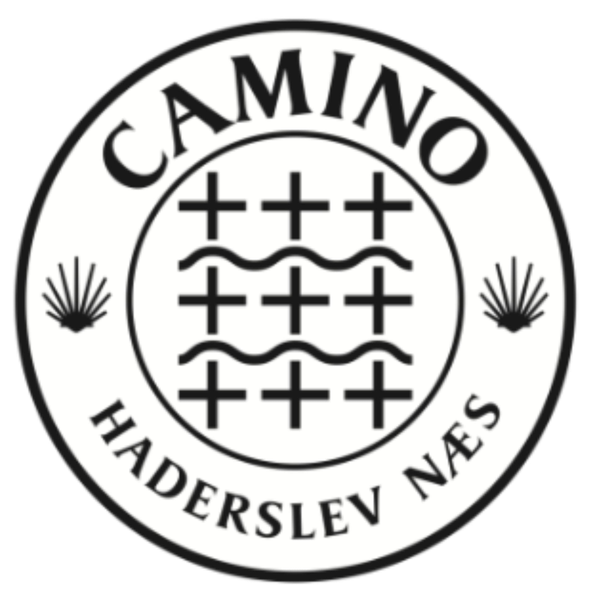 Camino Haderslev Næs - Podcasts