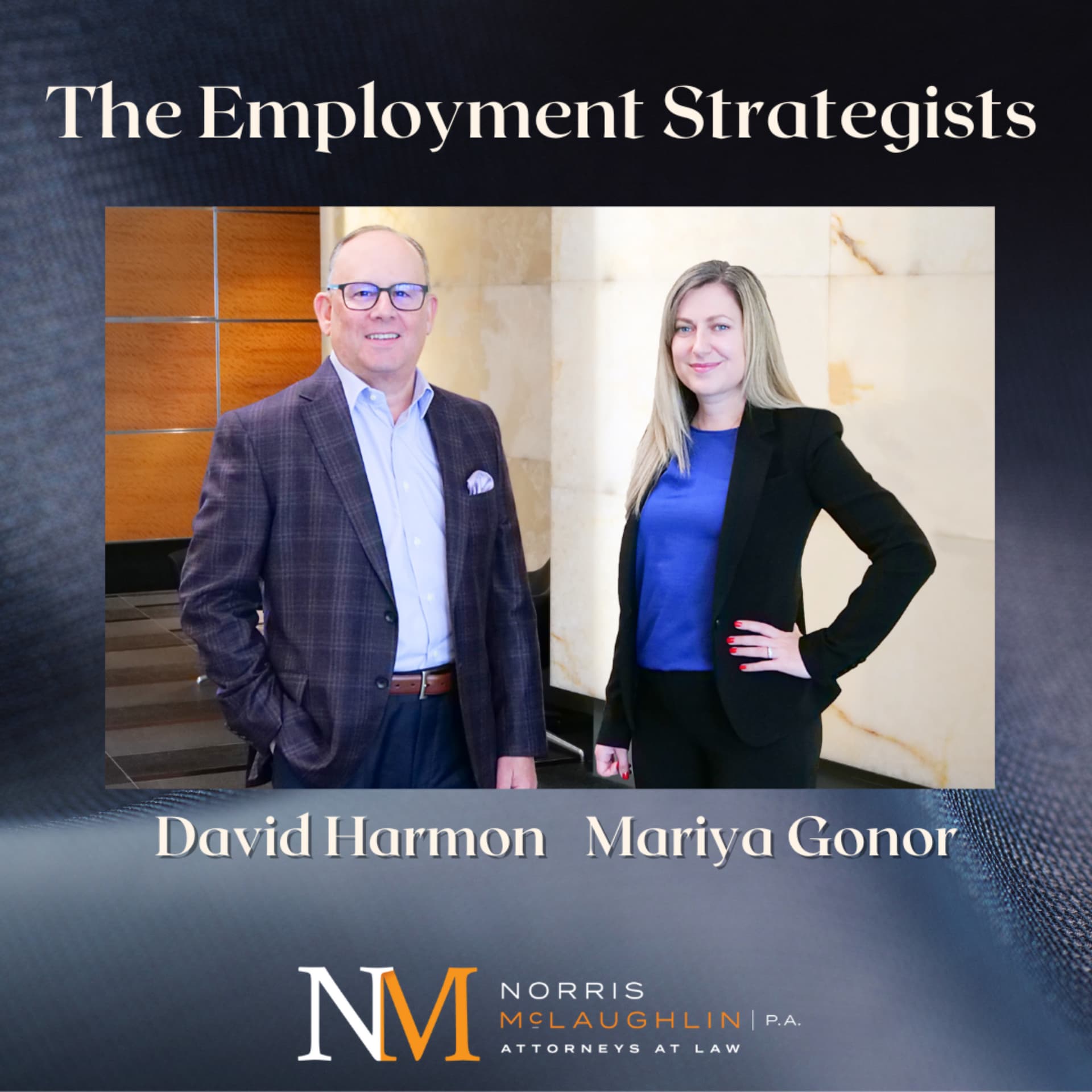 The Employment Strategists - Podcasts