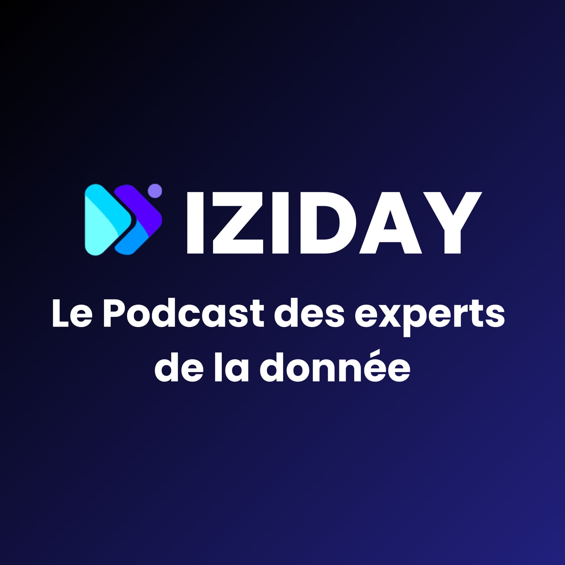 Le Podcast des experts de la donnée - Podcasts