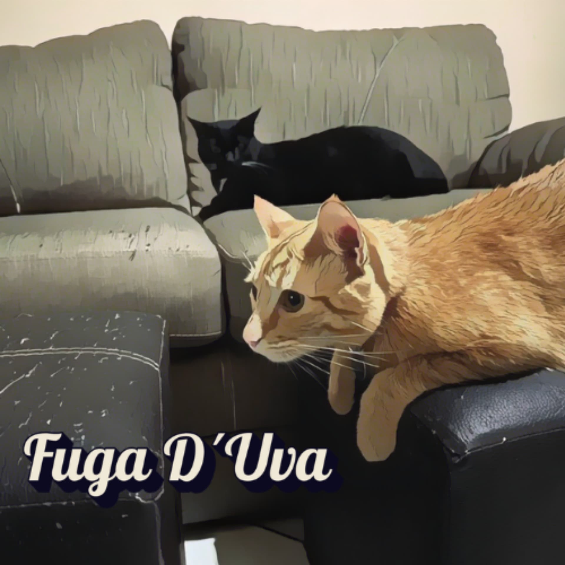 Fuga D´Uva - Podcasts