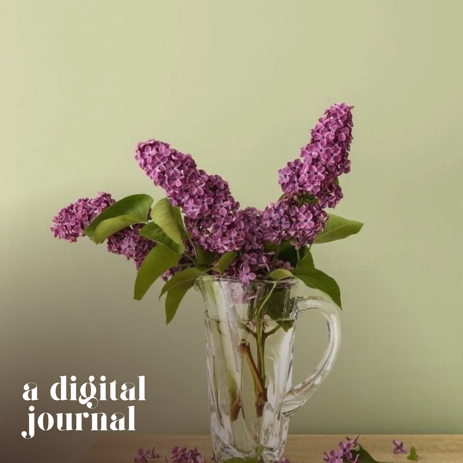 A Digital Journal - Podcasts