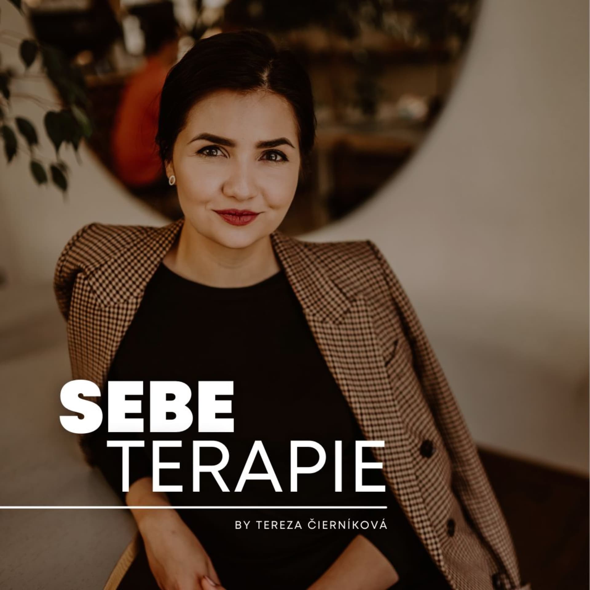 SEBEterapie - Podcasts