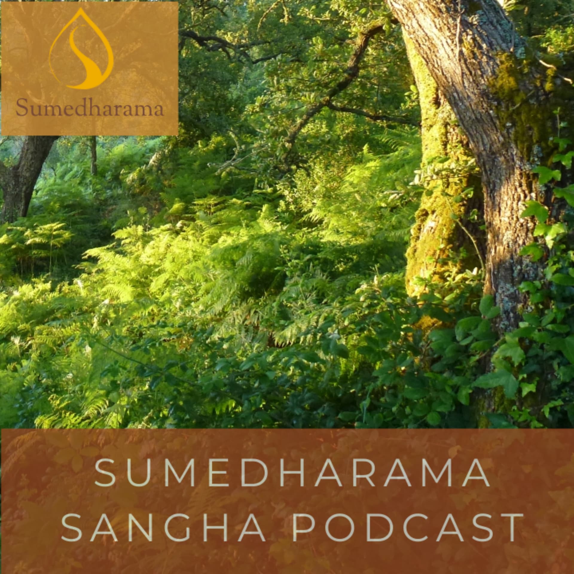 Sumedharama Buddhist Monastery Podcast - Podcasts
