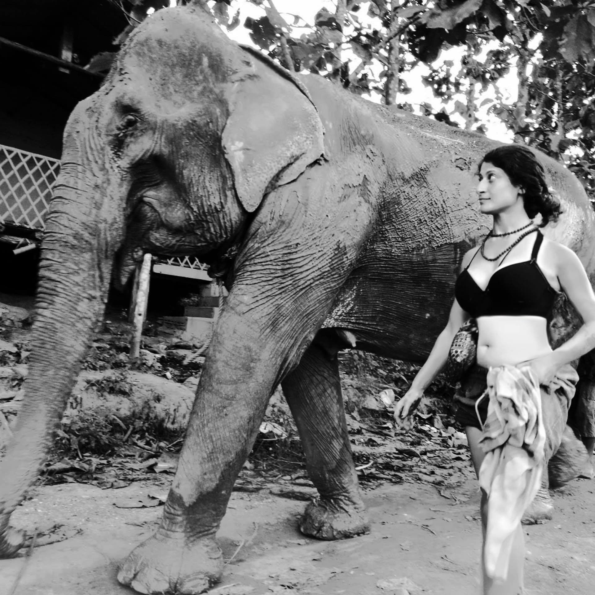 ASANER YOGA - Transformation Architect - Podcasts