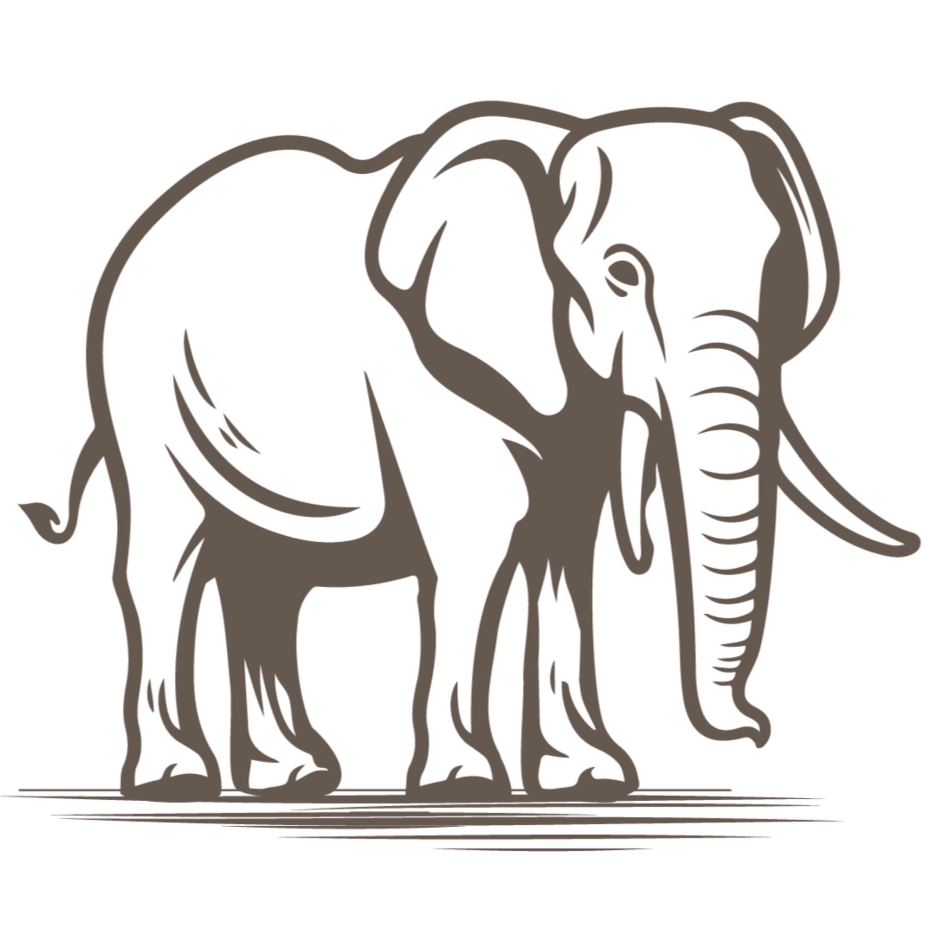 Spirit of Madikwe - Africa's Majesty - Podcasts