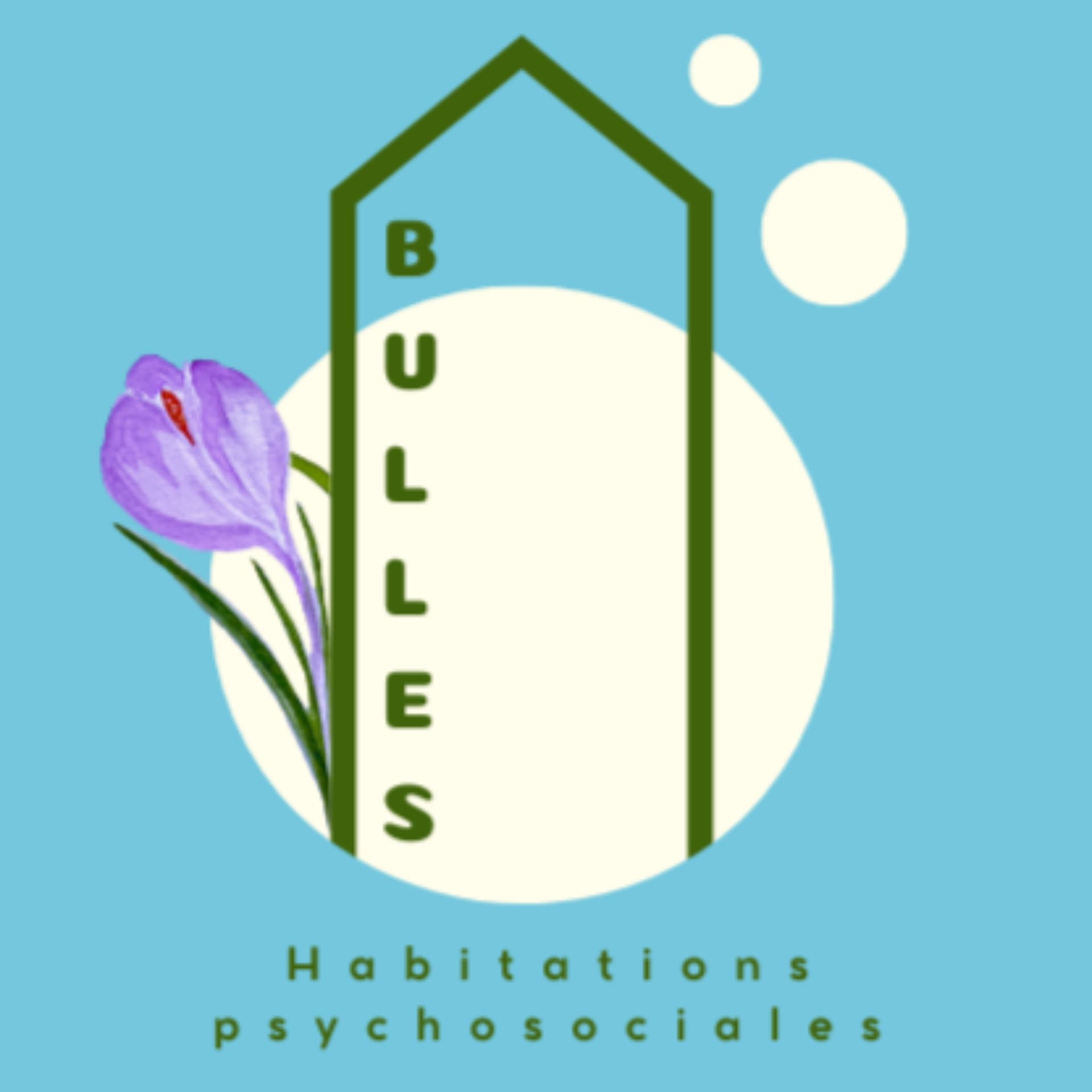 đź«§ Des Bulles Familiales- Balado et OBNL en innovation sociale - Podcasts