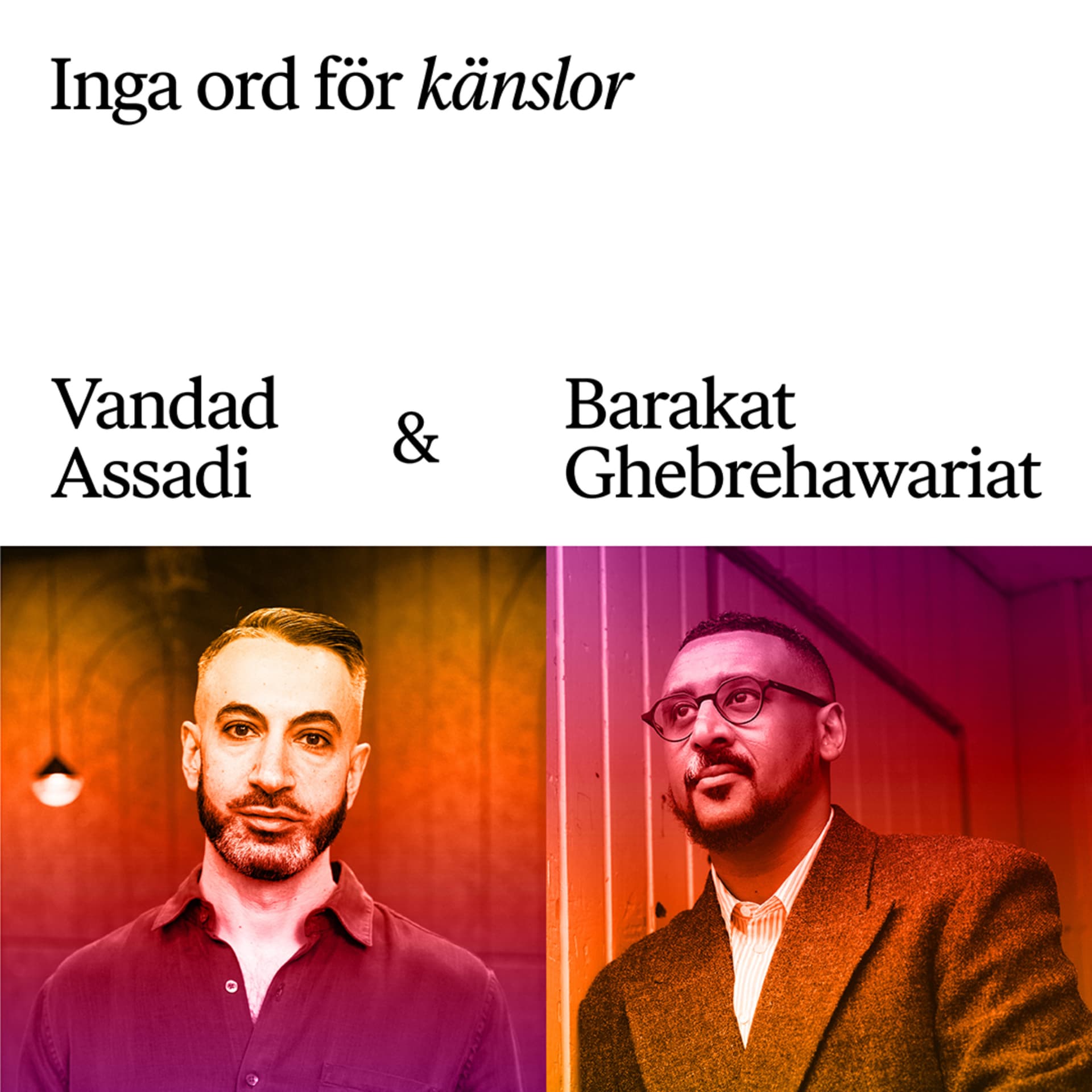 Inga ord för känslor - Podcasts