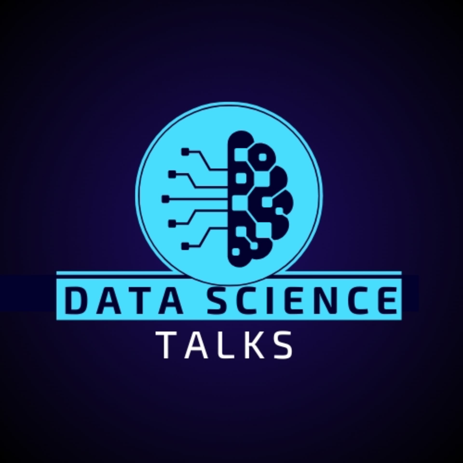 Data Science Talks - Podcasts