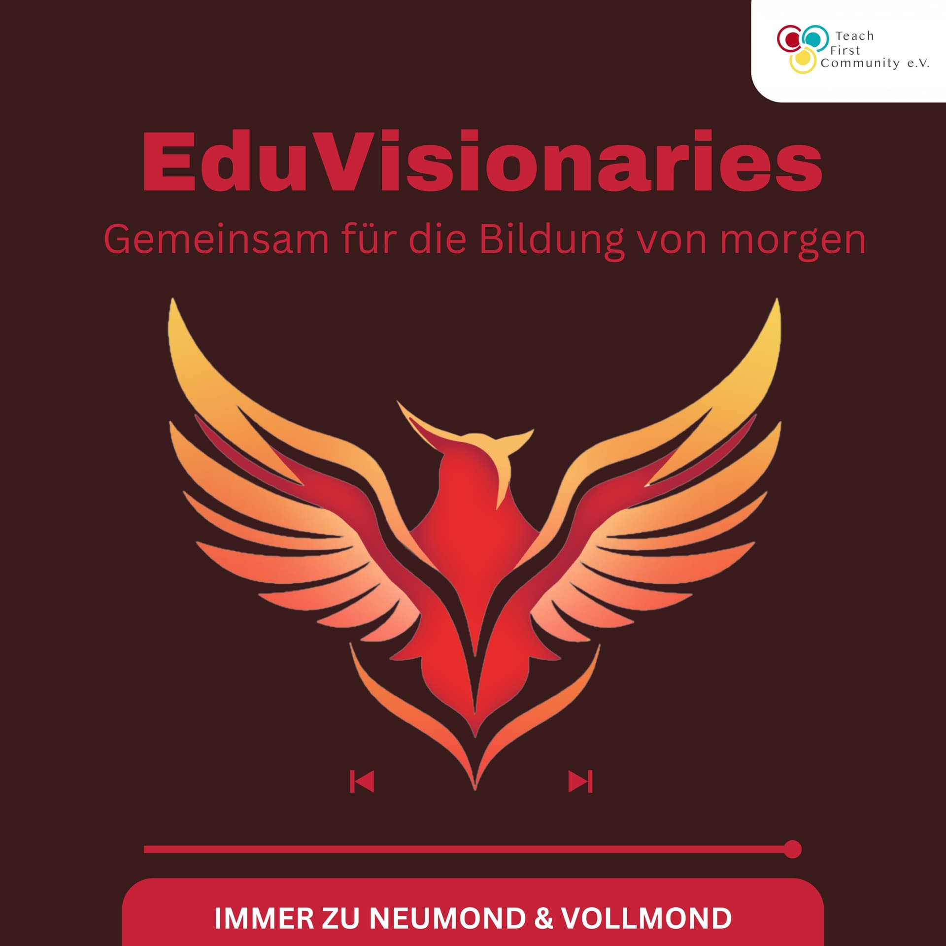 EduVisionaries - Der Netzwerkpodcast der Teach First Community - Podcasts