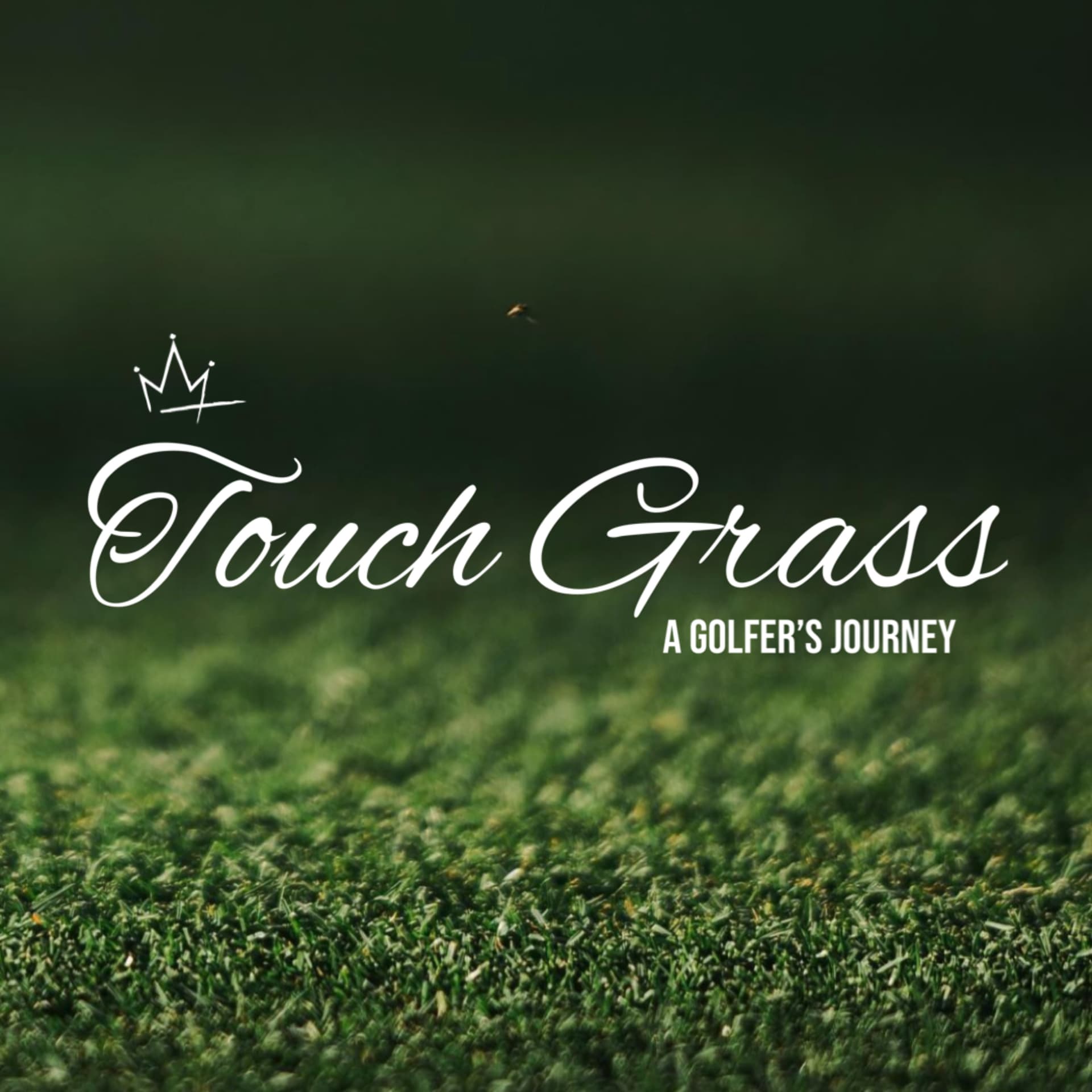 Touch Grass - A Golfer's Journey
