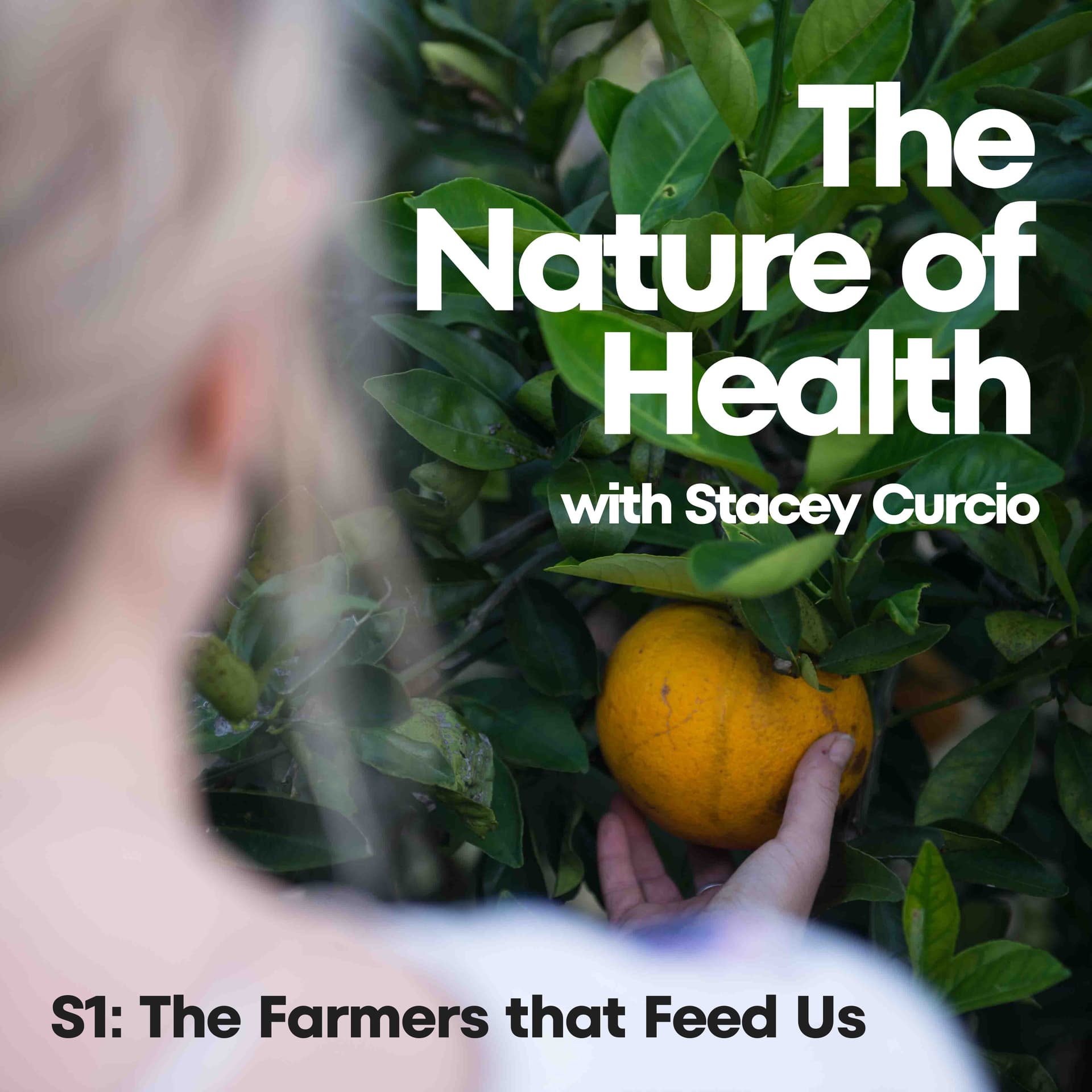 The Nature of Health - Podcasts