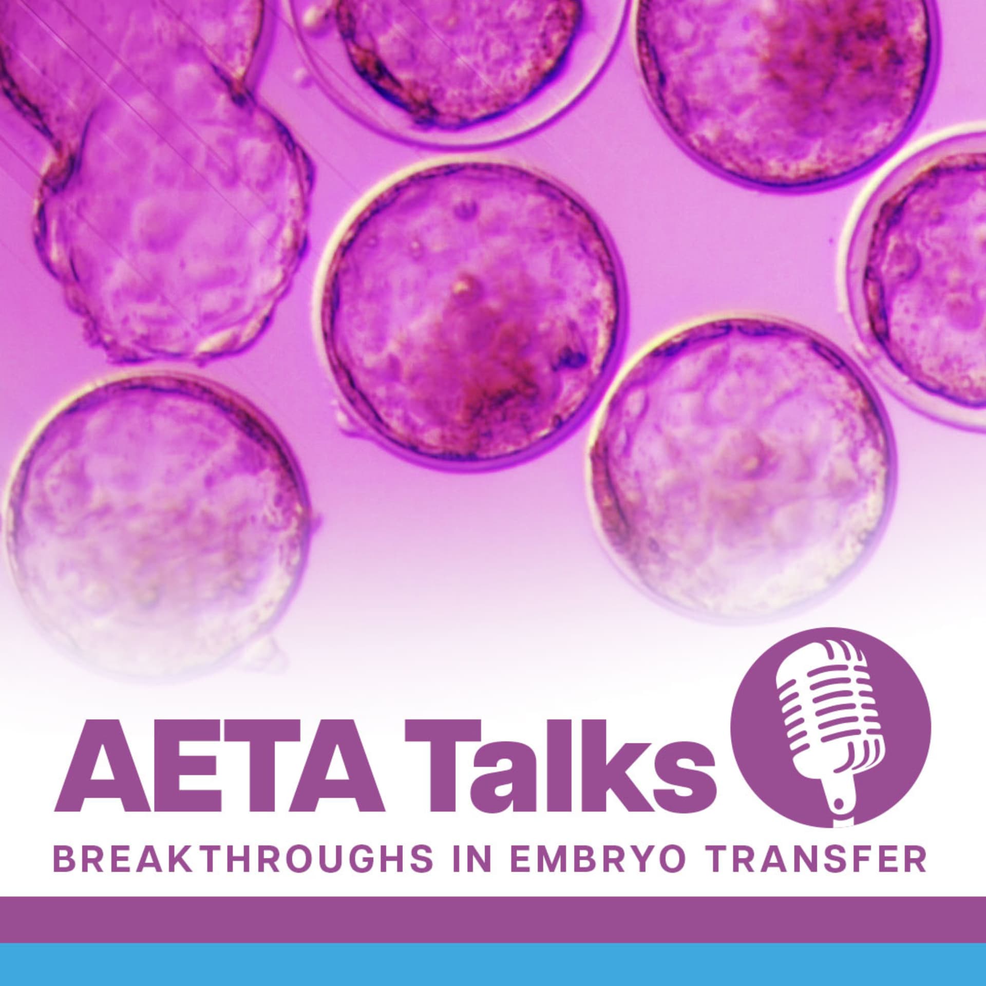 AETA Talks - Podcasts