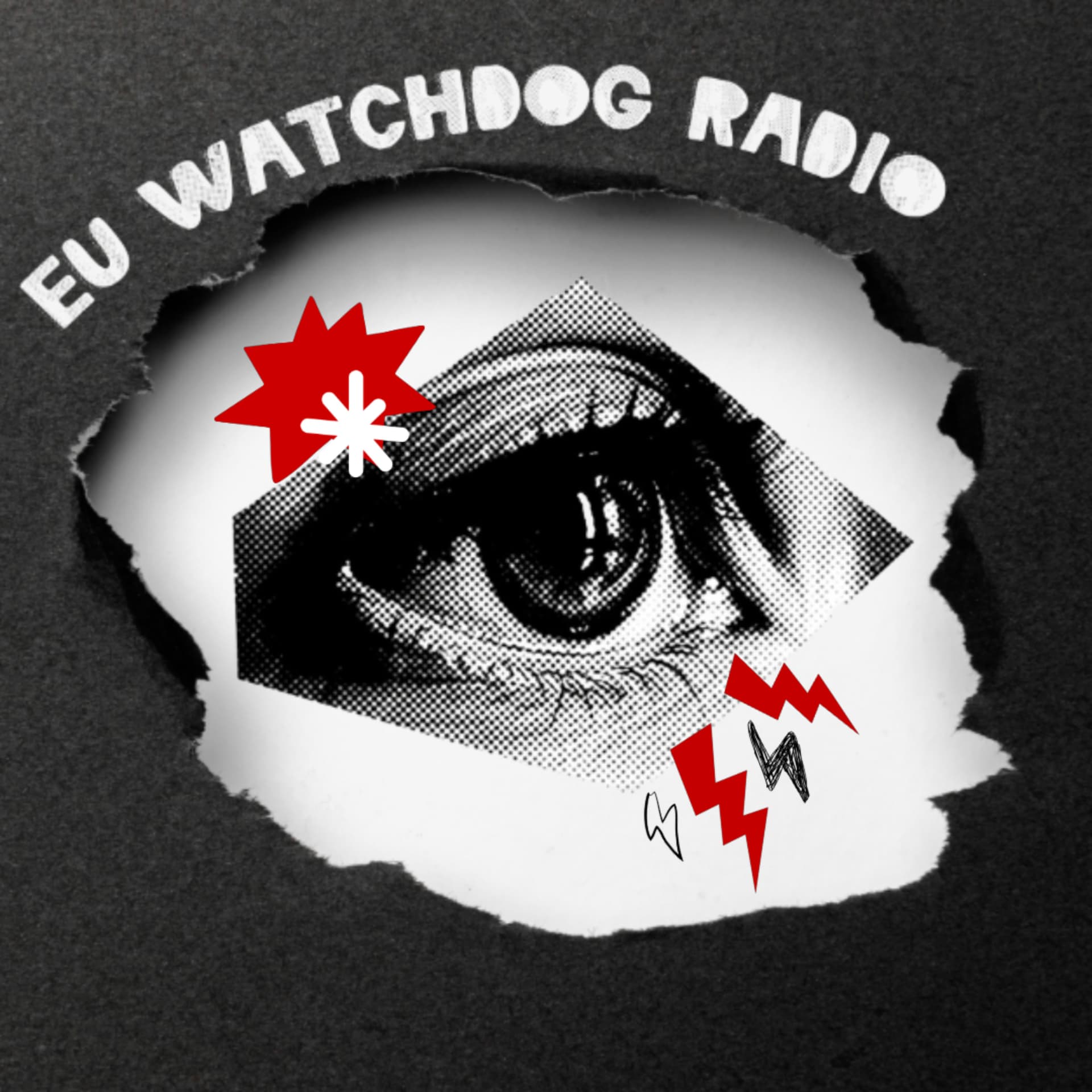 EU Watchdog Radio - Podcasts