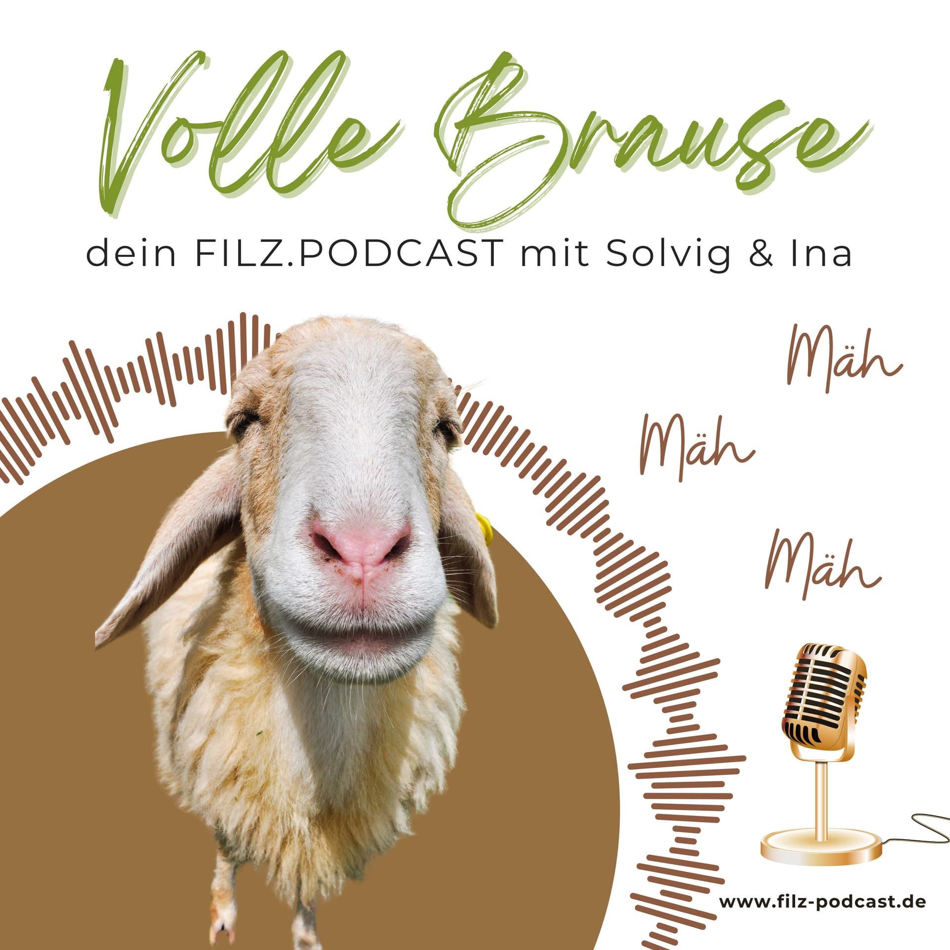 Volle Brause - ein Podcast übers Filzhandwerk - Podcasts