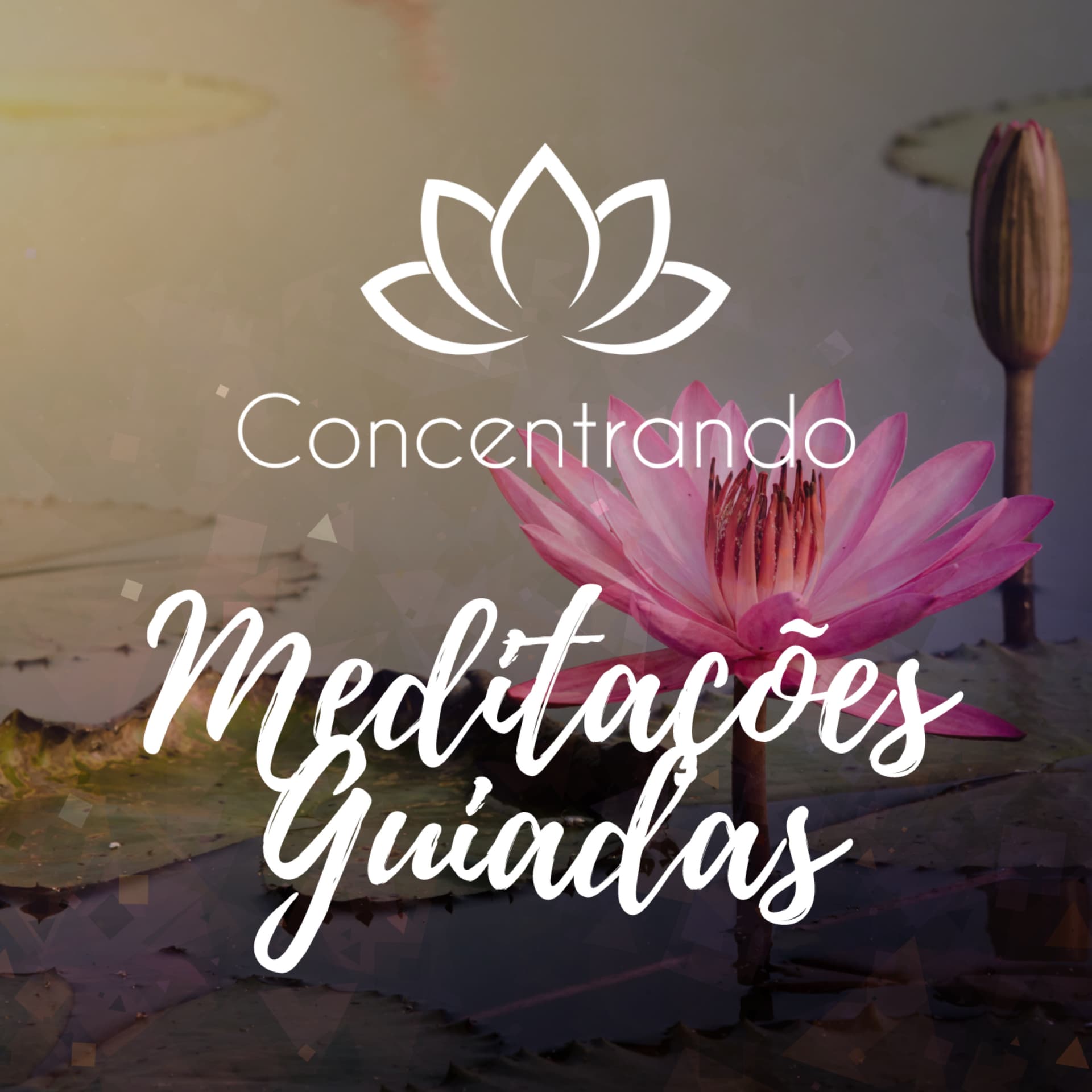 Paulo Vaz - Concentrando - Podcasts