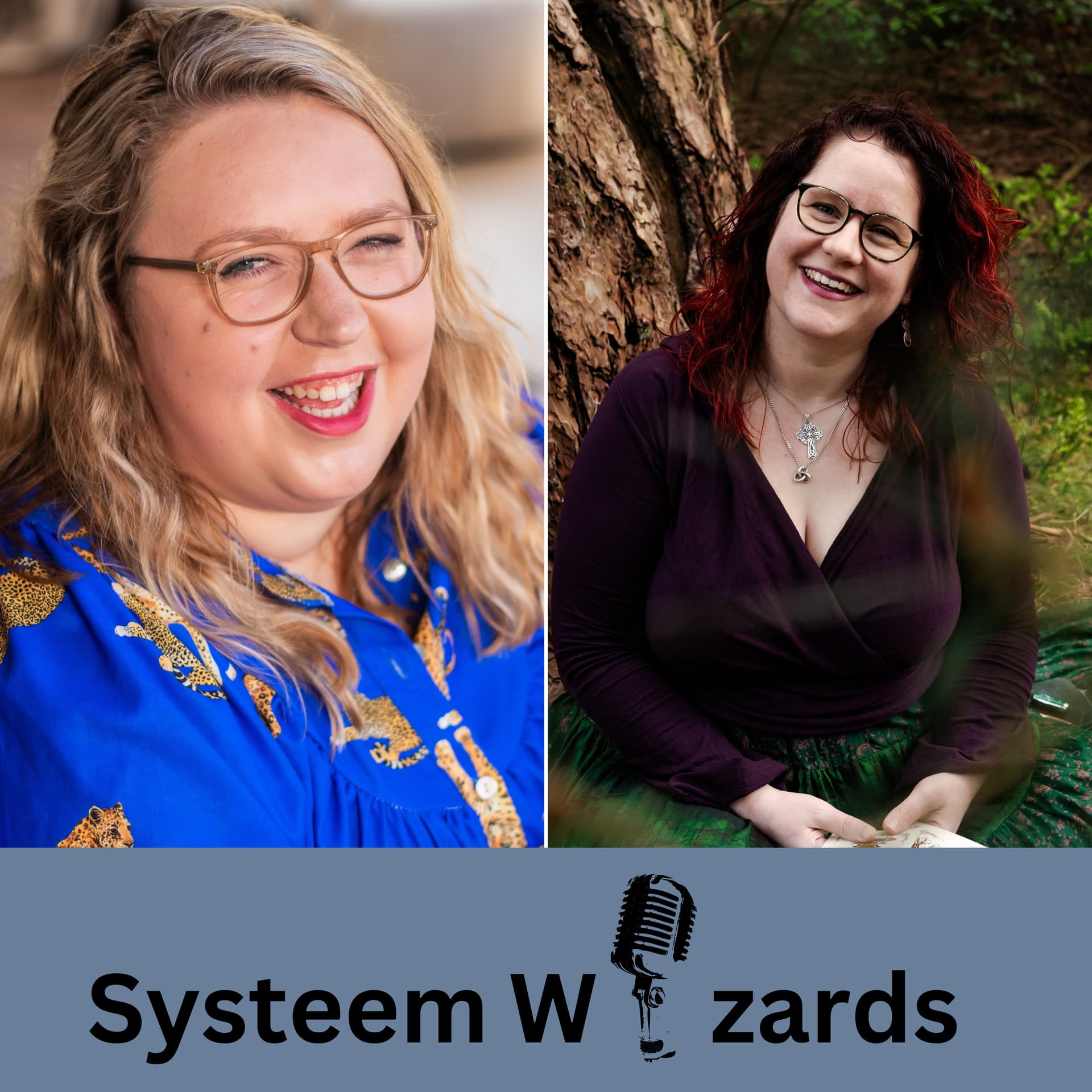 Systeem Wizards - Podcasts