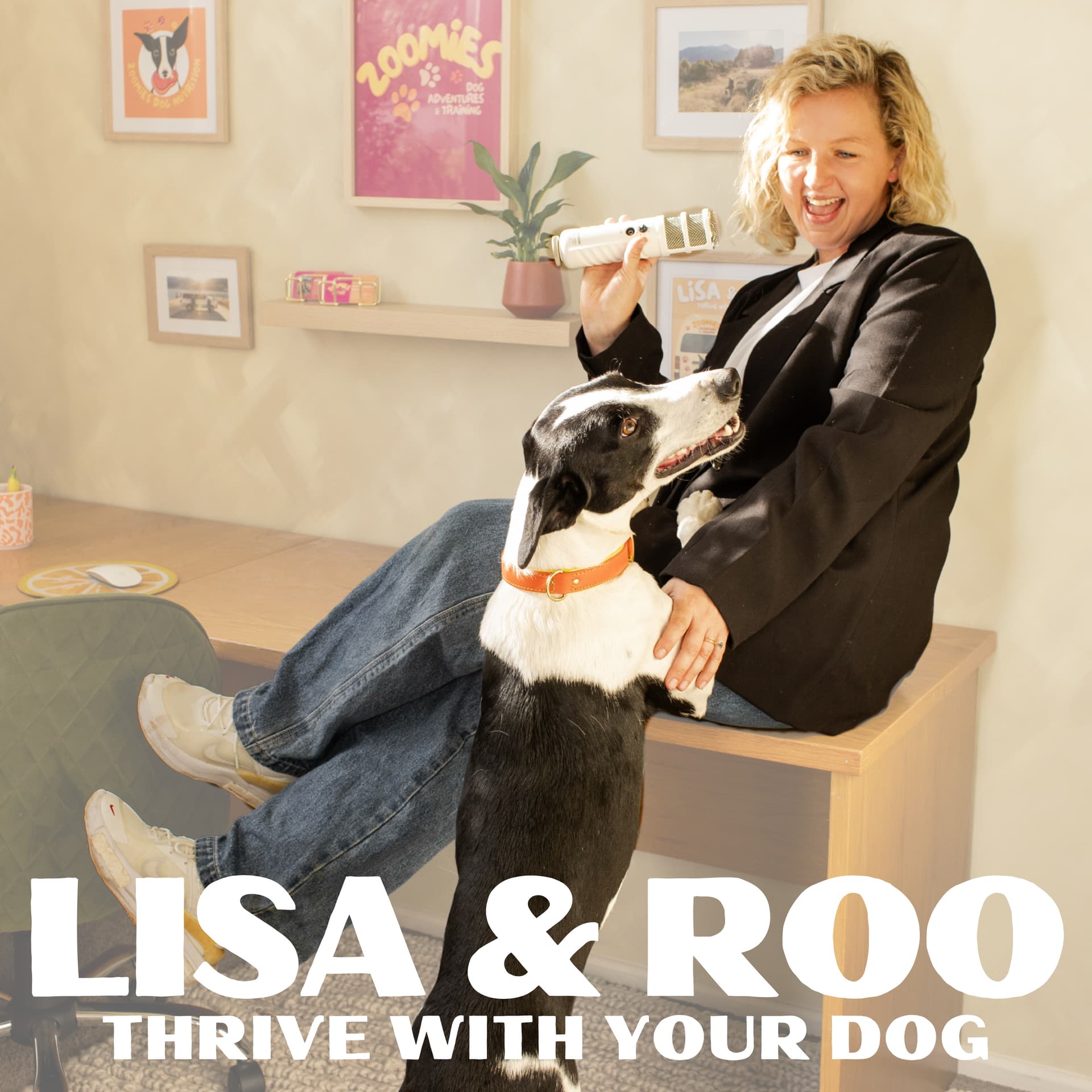Lisa and Roo - Podcasts