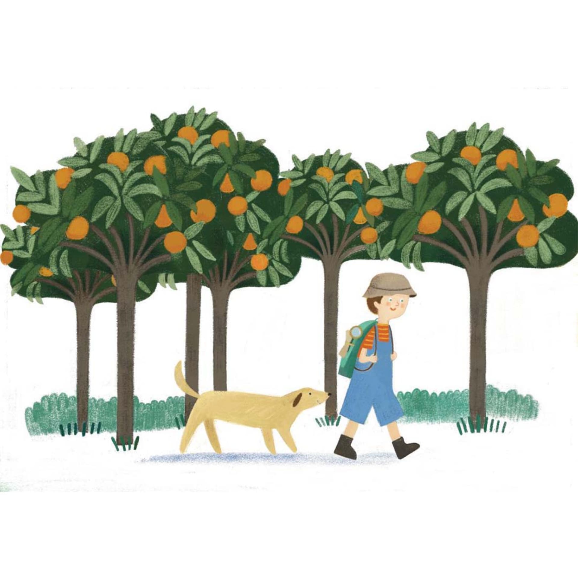 Nostos and the wonders of the past - Podcasts